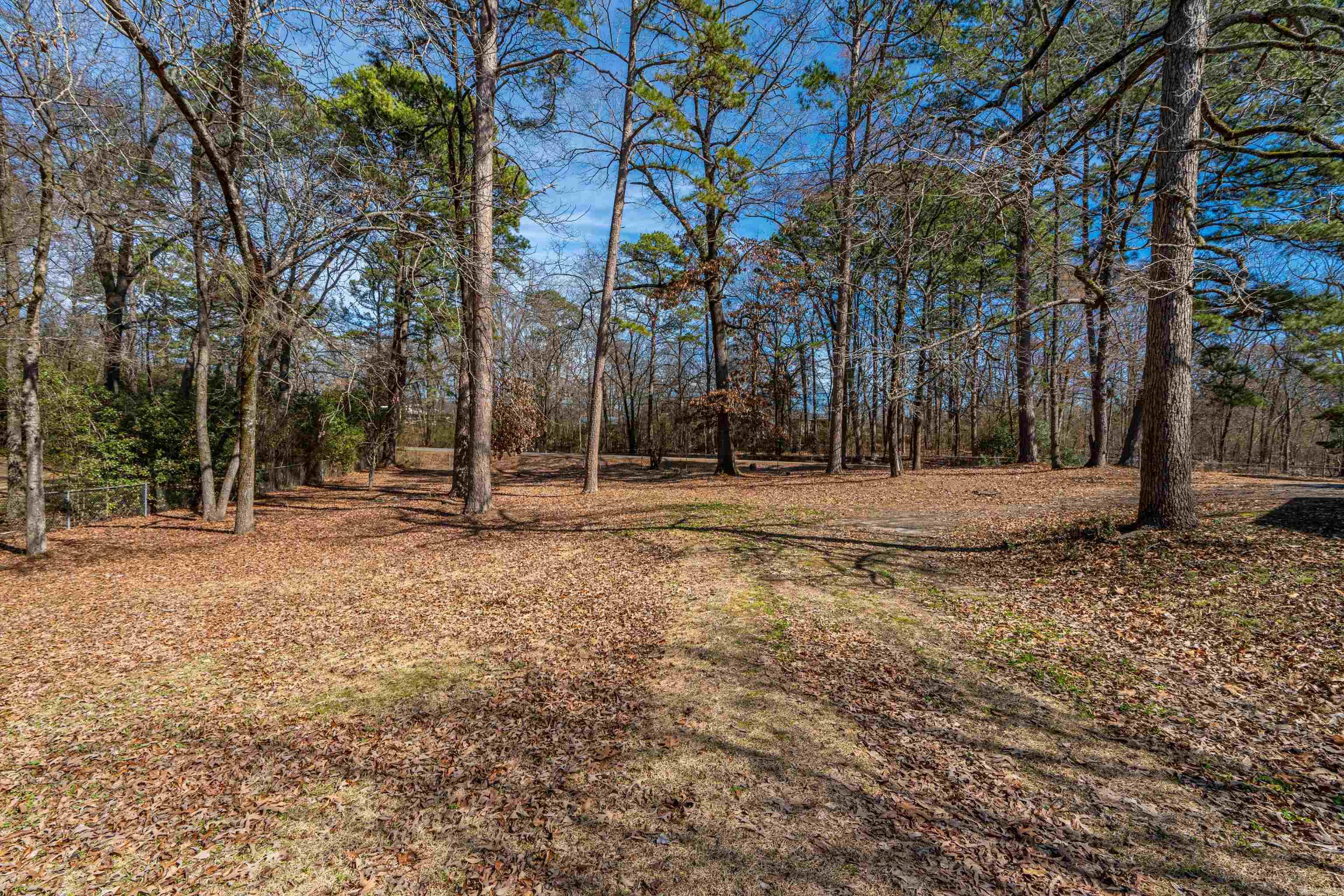 Hot Springs Unplatted - Residential