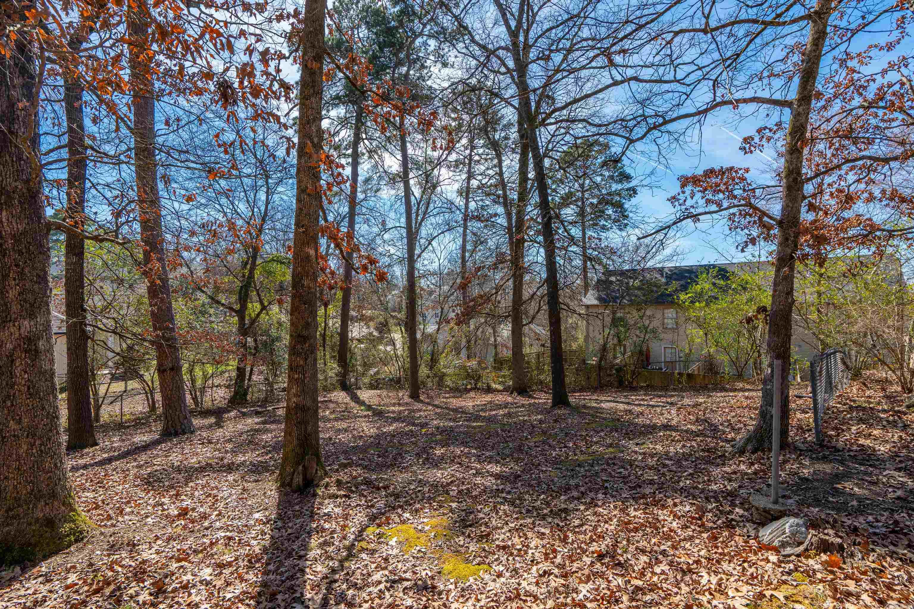 Hot Springs Unplatted - Residential