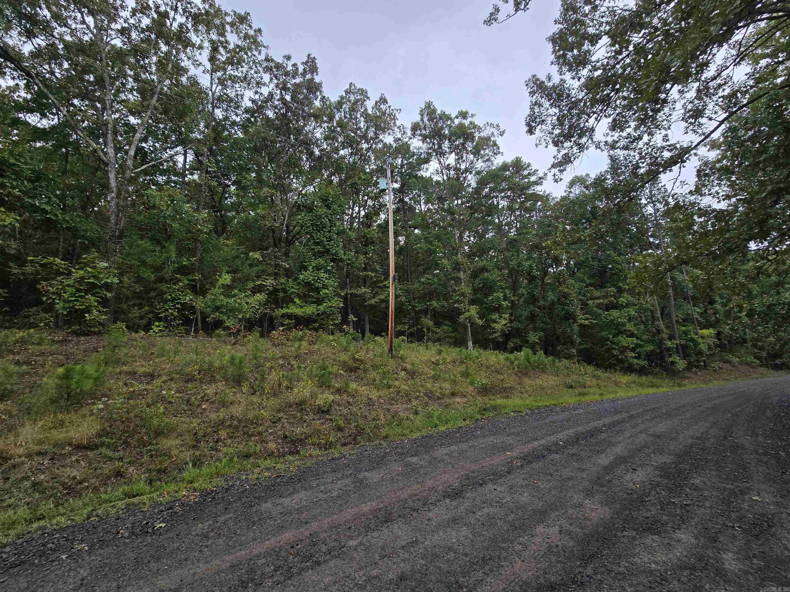 TIMBER LAKE - Land