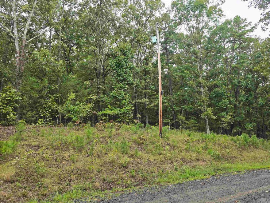 Beautiful lot in a quiet lake-area setting, Perfect for building your dream getaway or full-time home. Enjoy a potential seasonal view of the lake and the convenience of nearby utilities, including power, water, and internet. Call today and make a plan.