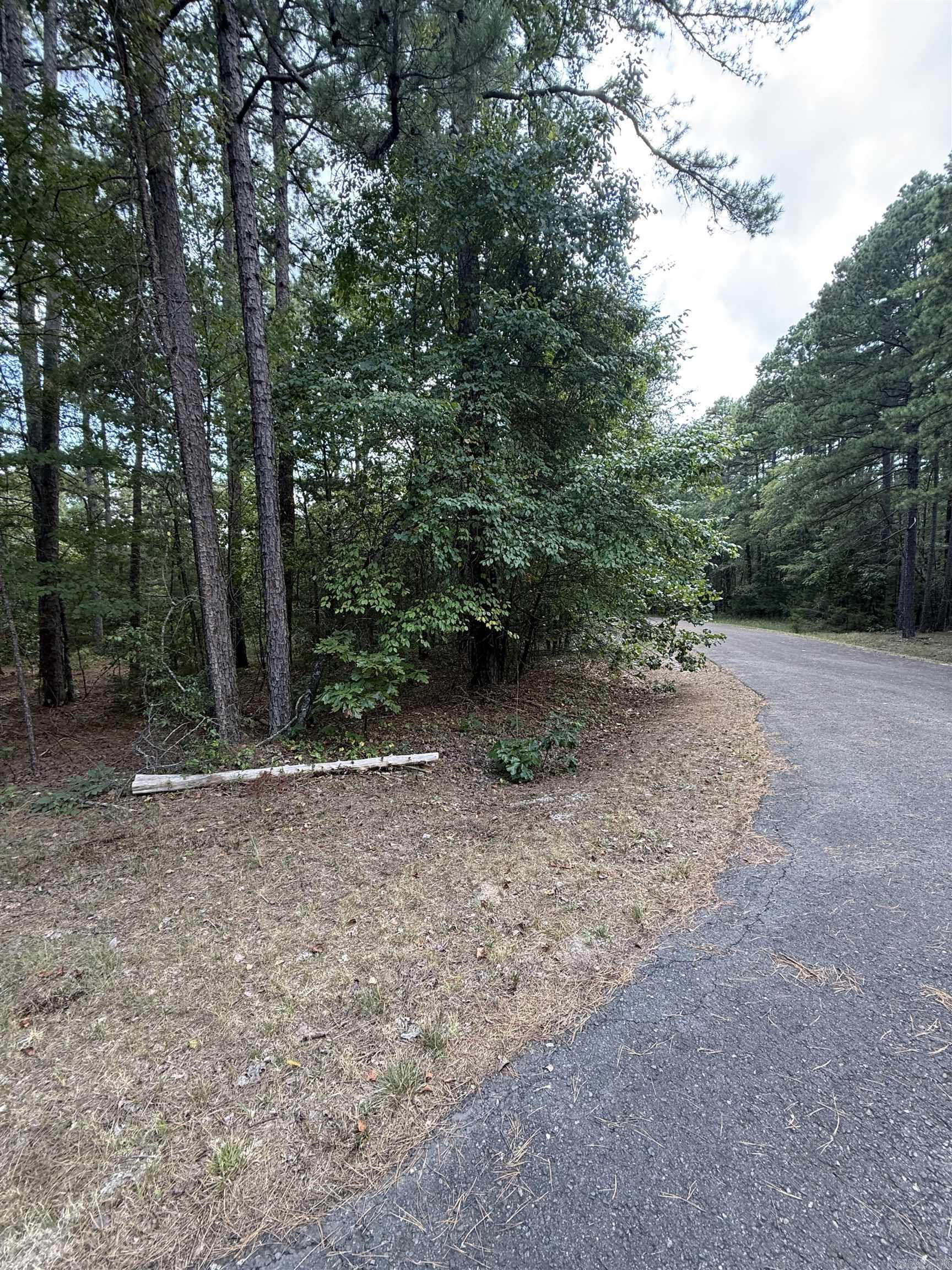 A rare find, a nice private flat buildable lot in Hot Springs Village! Close to all of Hot Springs Village amenities such as golf, lakes, hiking and pickleball! Make this lot show off your dream home.