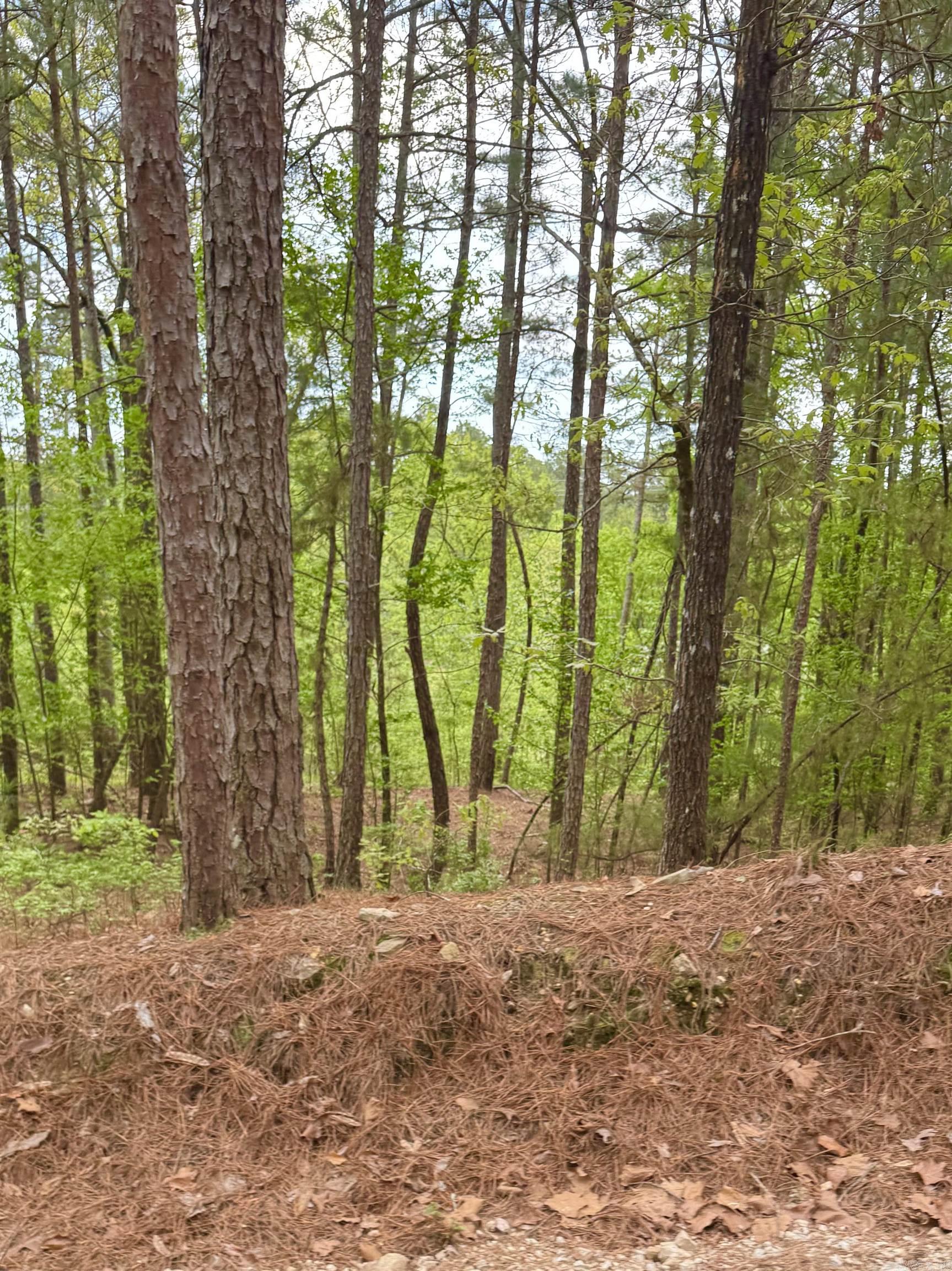 Treasure Isle #9 - Land