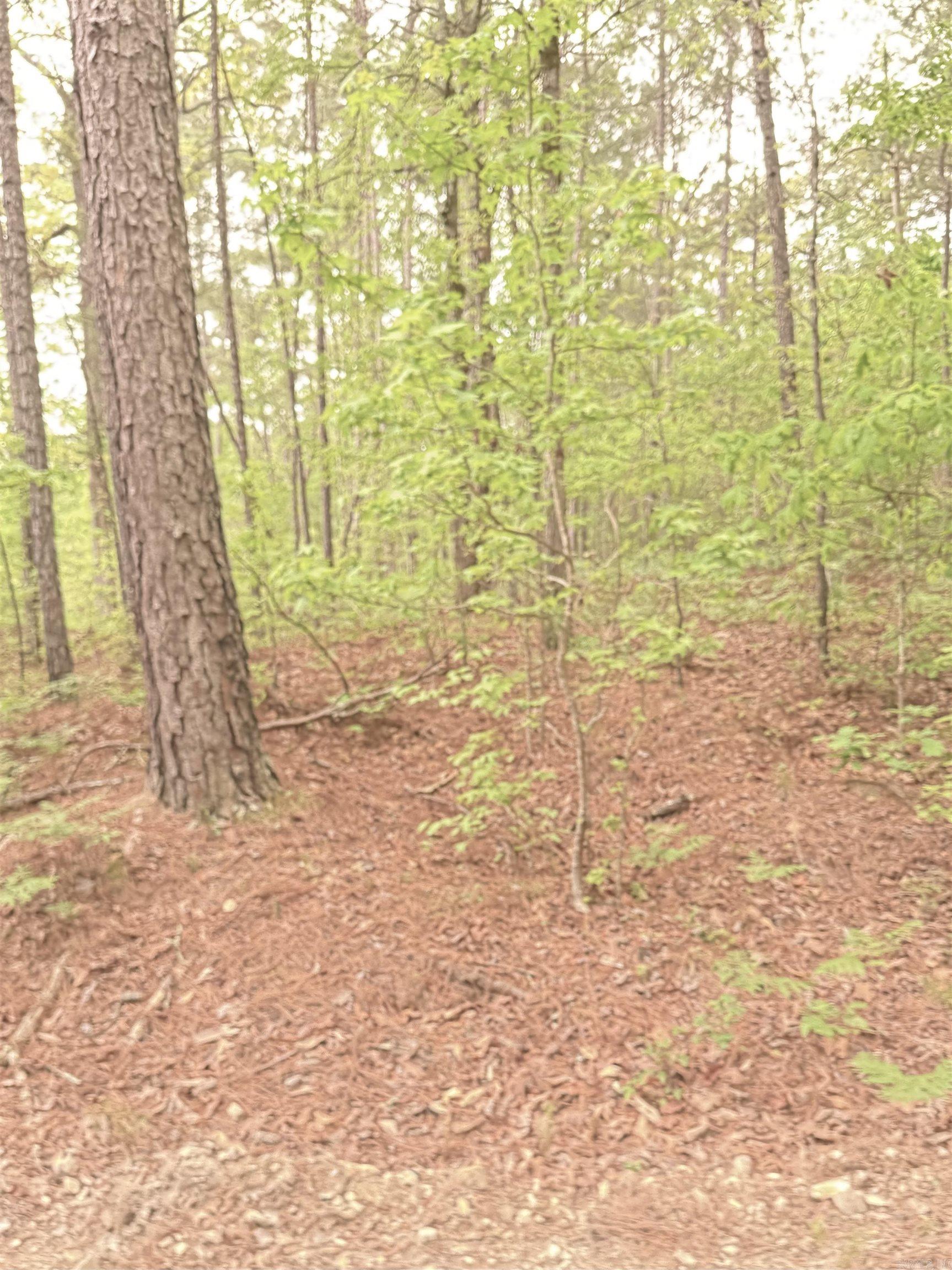 Treasure Isle #9 - Land