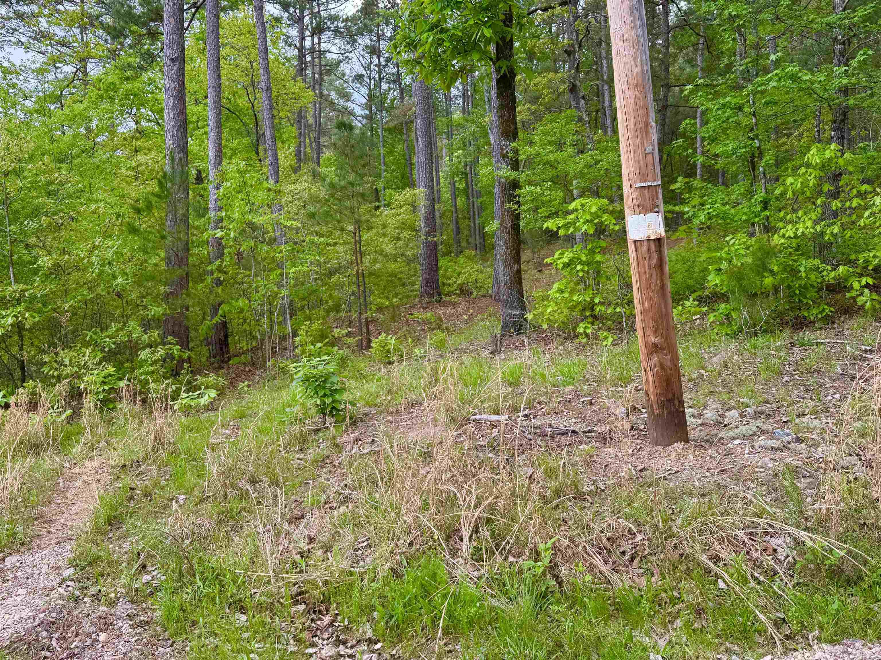 Treasure Isle #9 - Land