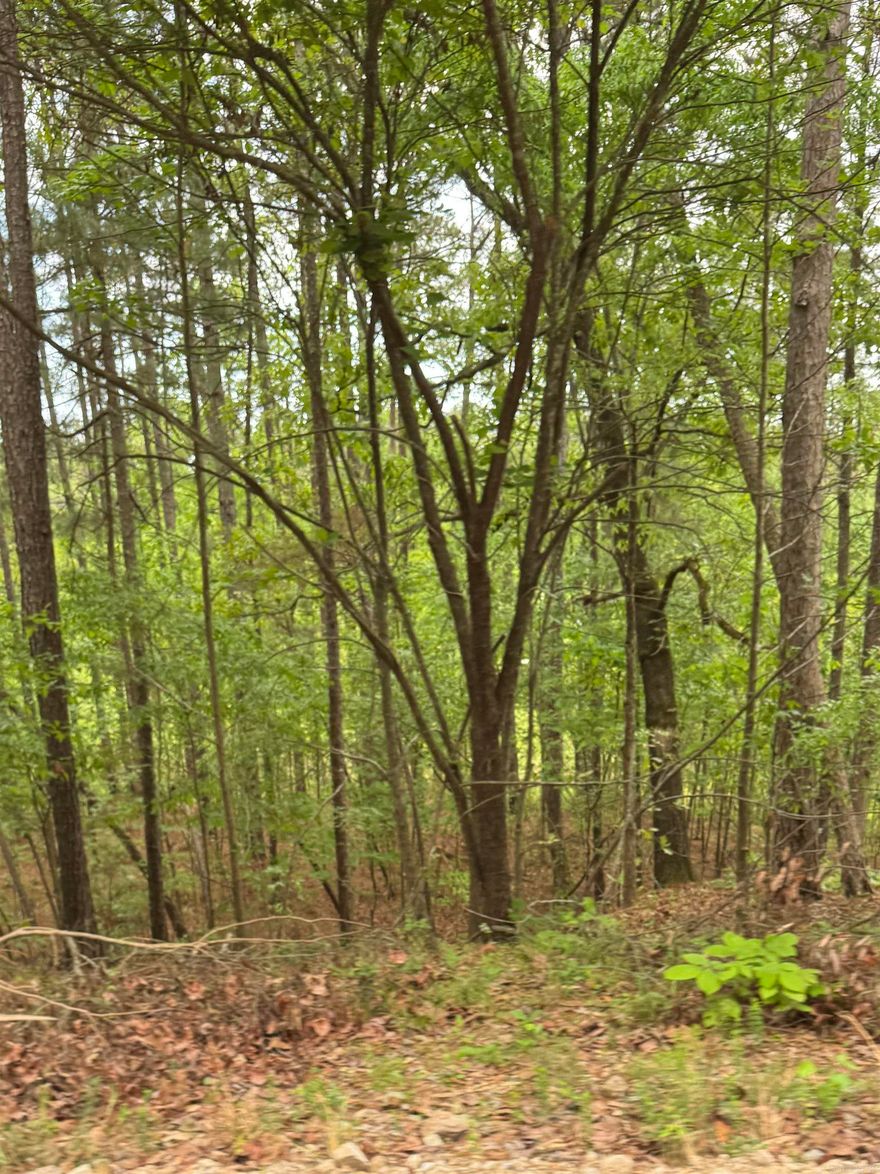 Beautiful tract with 5 beautiful wooded Lots, many mature trees, steep incline on some great place to build an a-frame home looking over the land with lots of wildlife and very private. Lots of room to set up a Cabin Retreat! No mobile Homes! No Sellers disclosure! Sold ASIS!