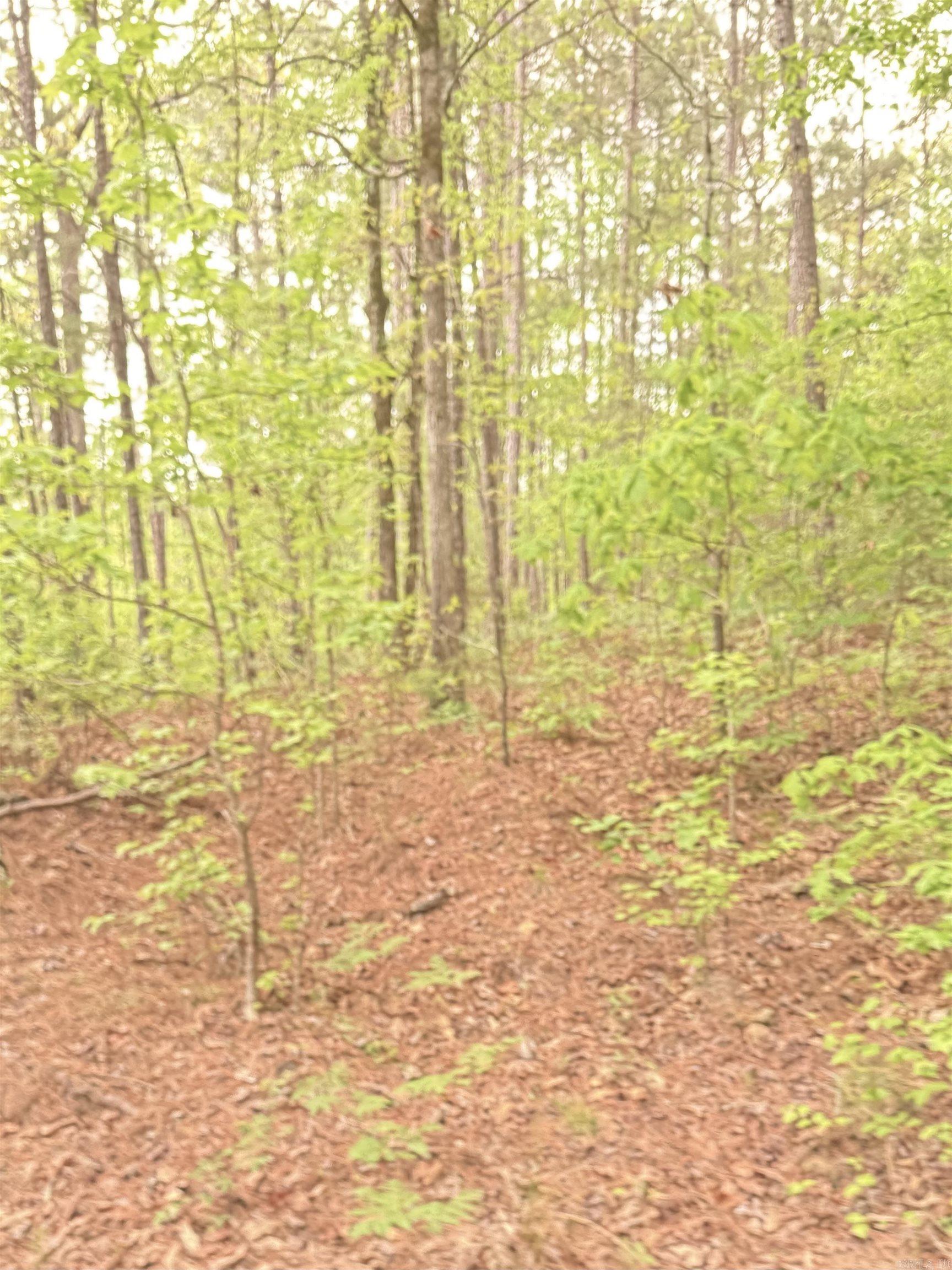 Treasure Isle #9 - Land