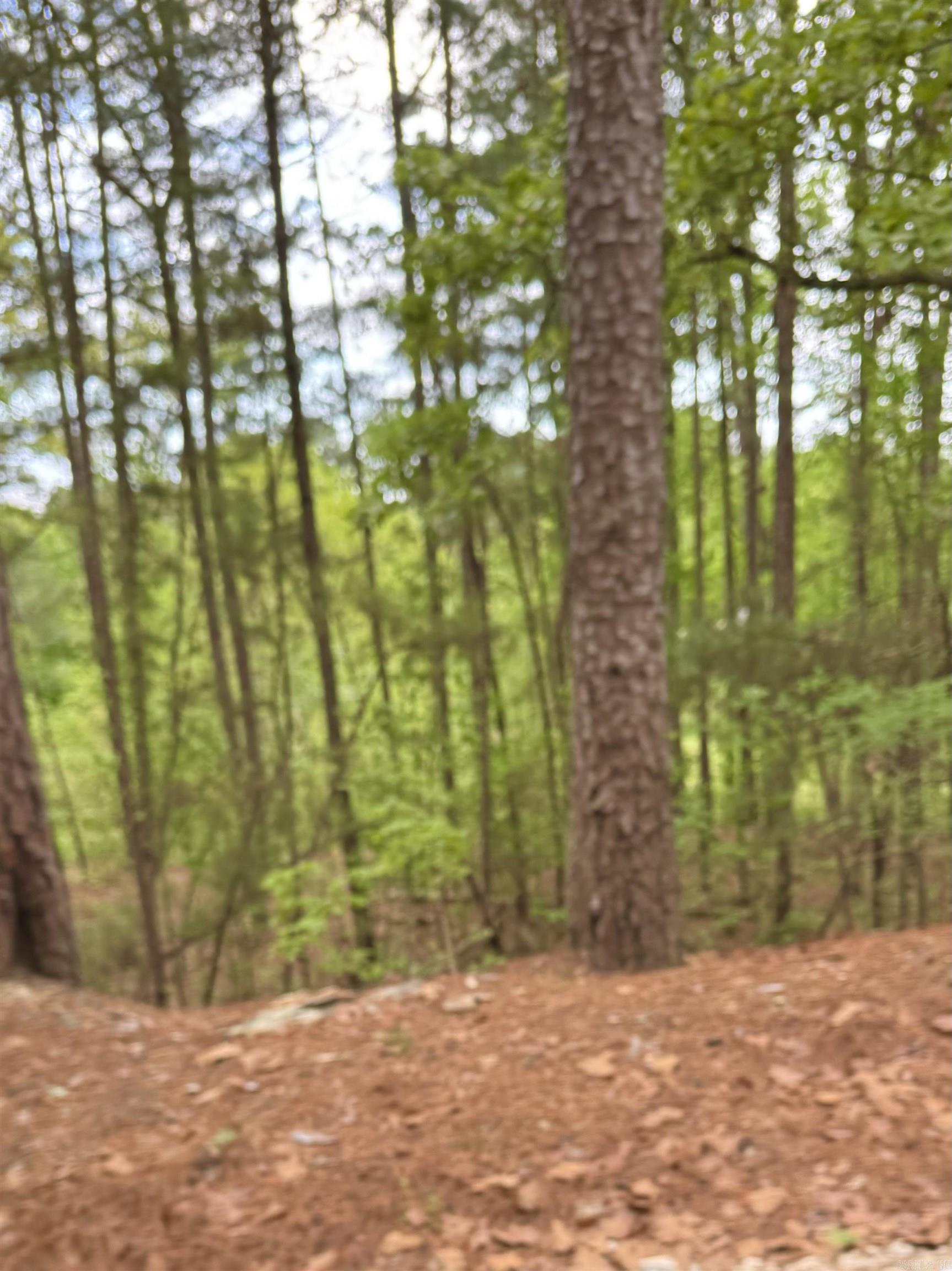 Treasure Isle #9 - Land