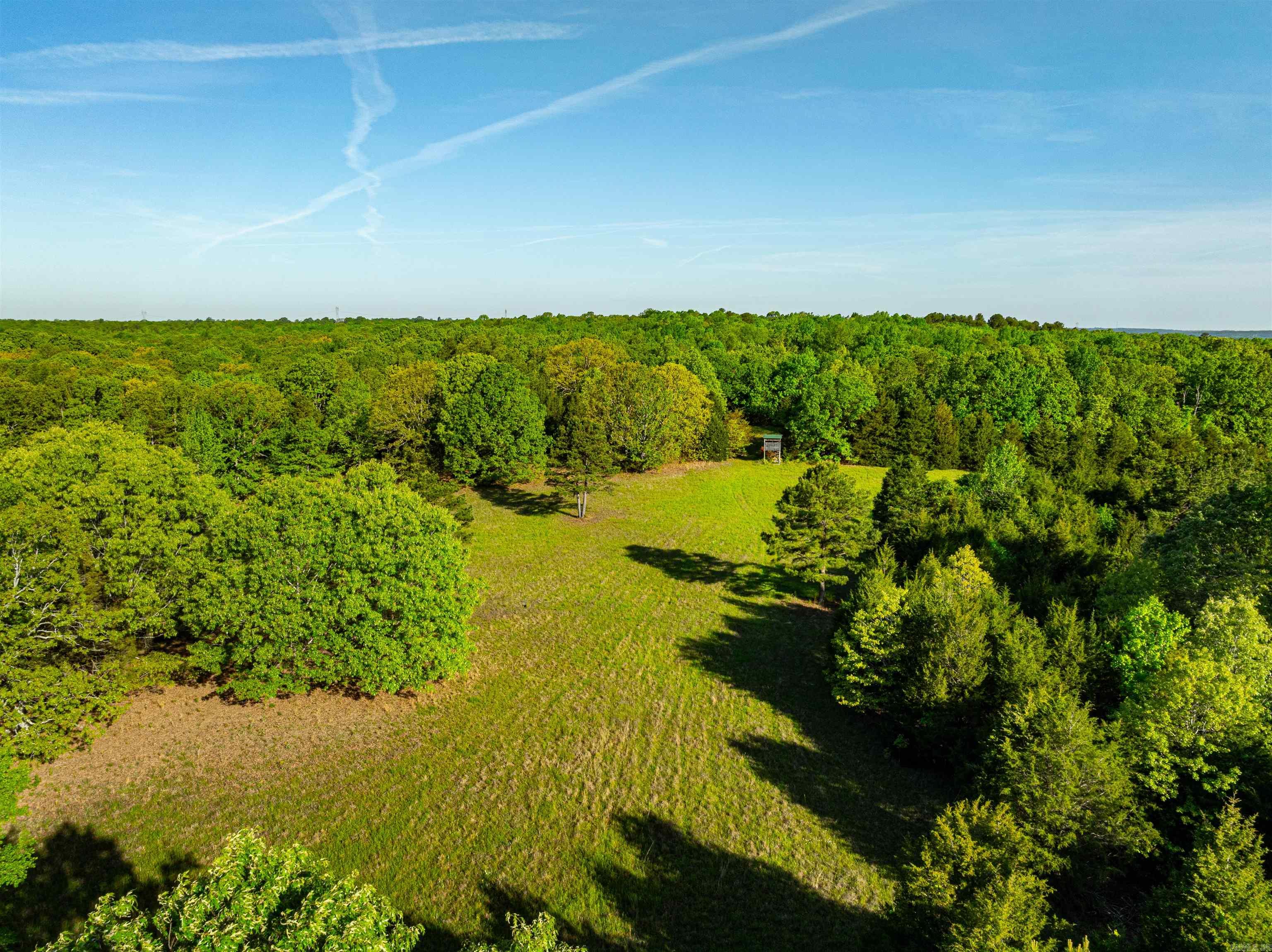 Just hitting the market....For a perfect mixture of woods, some pasture, 2 ponds with one being spring fed, level area and lots of building sites, large mature timber, great location just off 167 highway between Bald Knob and Pleasant Plains, Arkansas with an owned gravel road access to the property which is 40 ft wide off Jackson County Road 6 in Jackson County and has a new driveway with a gate just installed. Very private property yet close to interstate if one needed to go somewhere! Access to rural water and electric is at the road making it a great place to build you that forever home! This property is a one of a kind and is ready for you! Call us today to see this property. Private gate at road, you own all the way to the county road, NOT just an easement, you OWN it! Broker owned