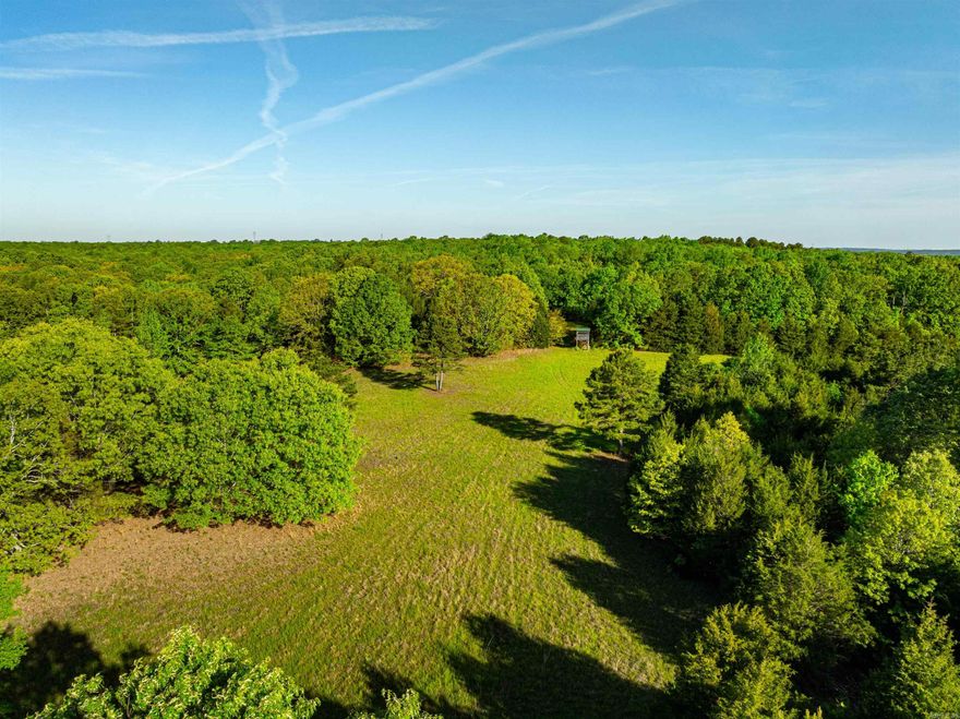 Just hitting the market....For a perfect mixture of woods, some pasture, 2 ponds with one being spring fed, level area and lots of building sites, large mature timber, great location just off 167 highway between Bald Knob and Pleasant Plains, Arkansas with an owned gravel road access to the property which is 40 ft wide off Jackson County Road 6 in Jackson County and has a new driveway with a gate just installed.  Very private property yet close to interstate if one needed to go somewhere!  Access to rural water and electric is at the road making it a great place to build you that forever home!  This property is a one of a kind and is ready for you!  Call us today to see this property.  Private gate at road, you own all the way to the county road, NOT just an easement, you OWN it!  Broker owned