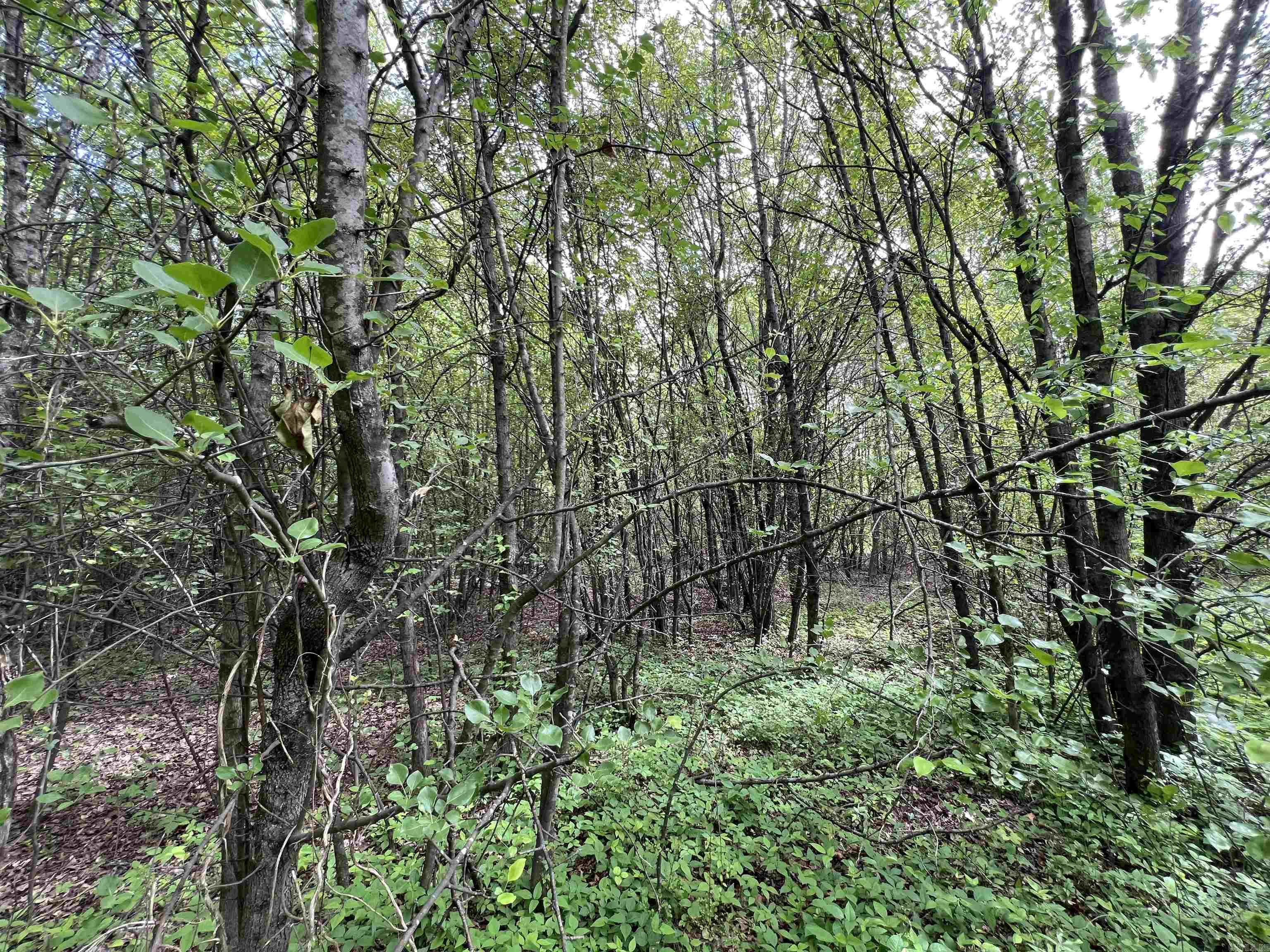 Higginson Outlots - Land