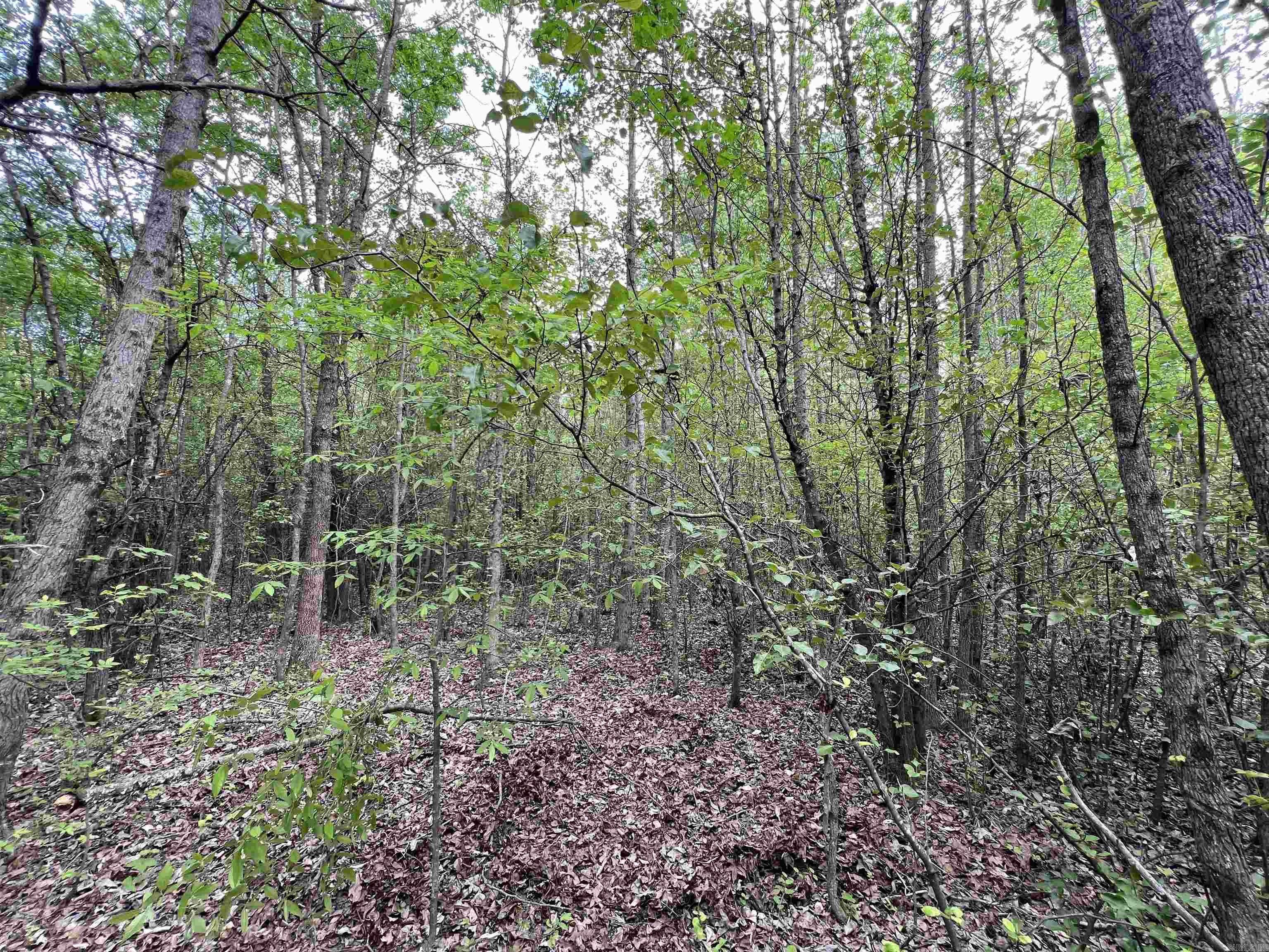 Higginson Outlots - Land