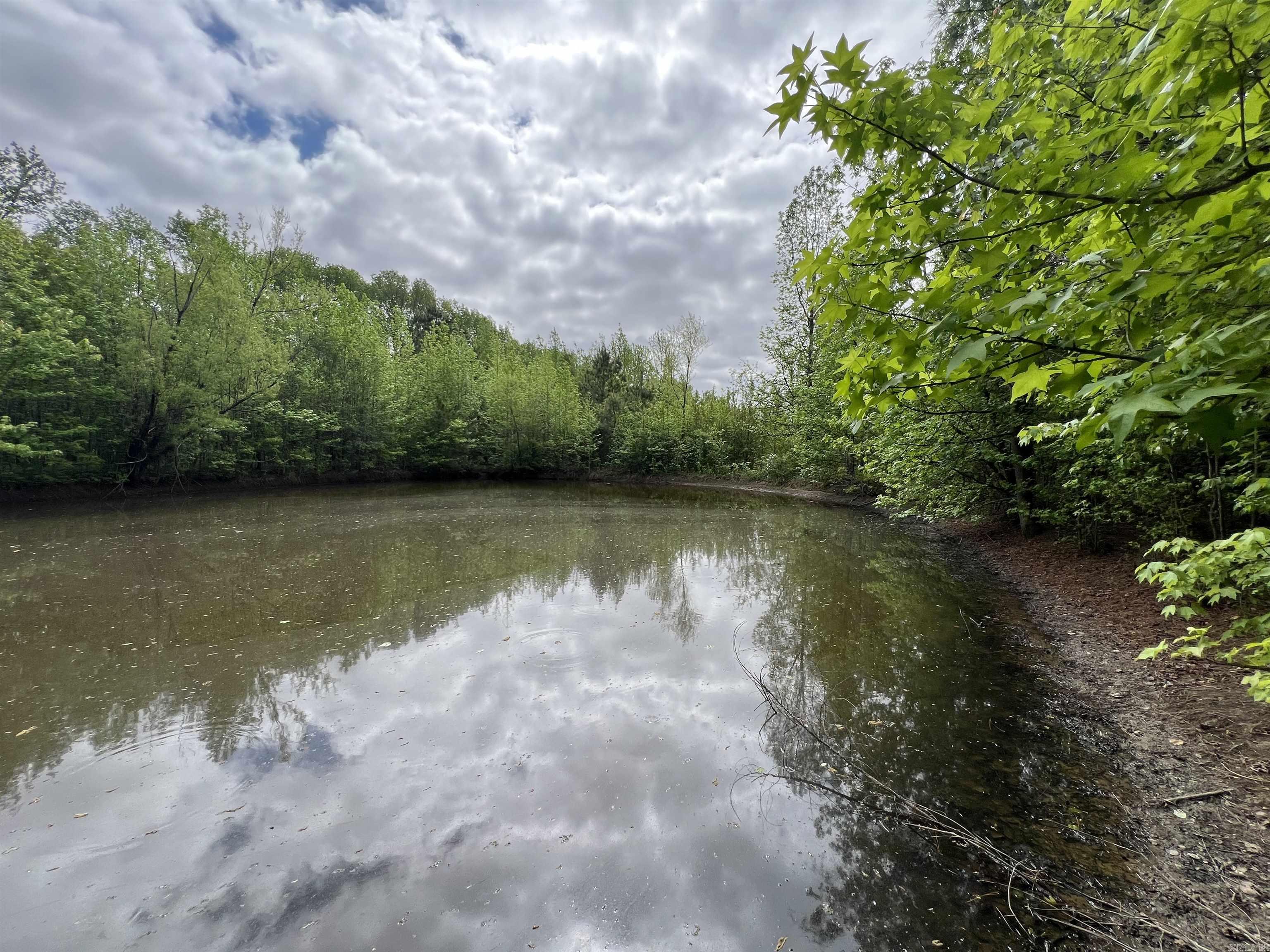 Higginson Outlots - Land