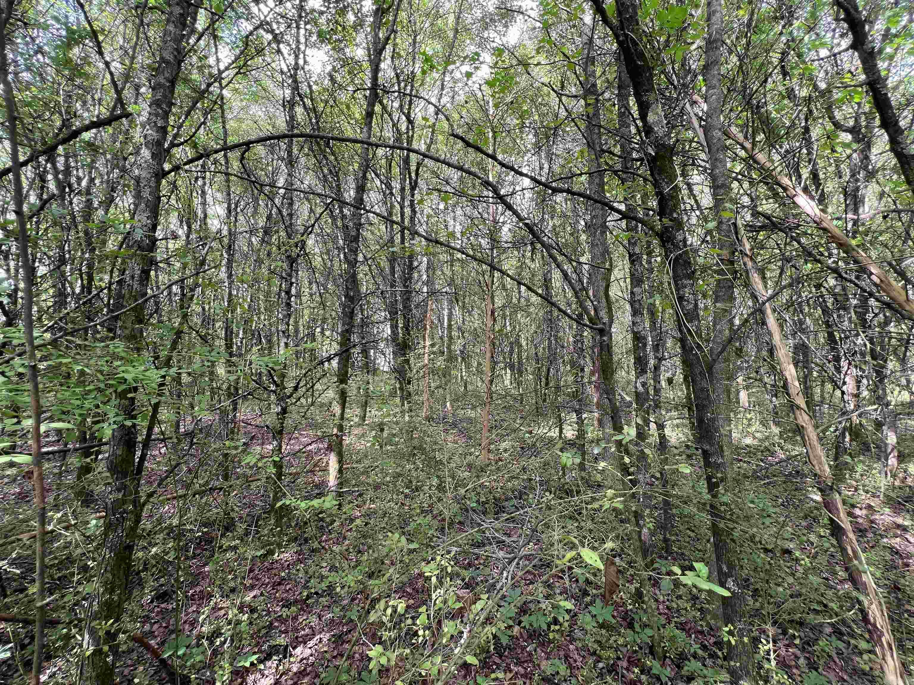 Higginson Outlots - Land