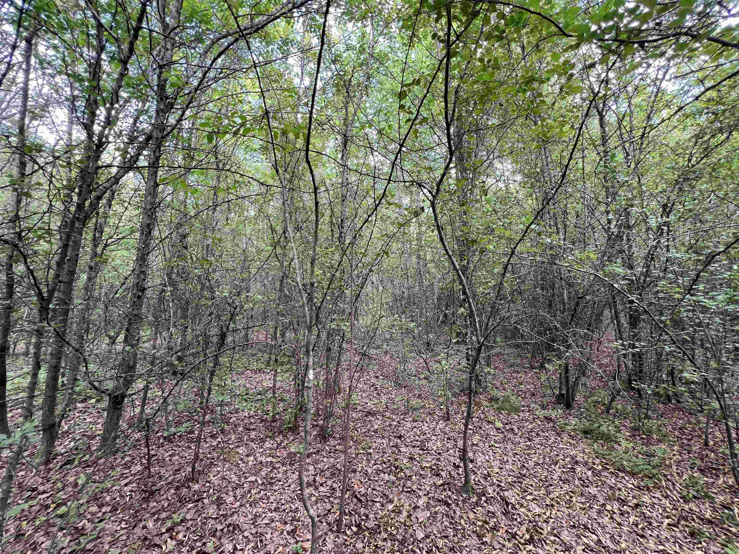 Higginson Outlots - Land