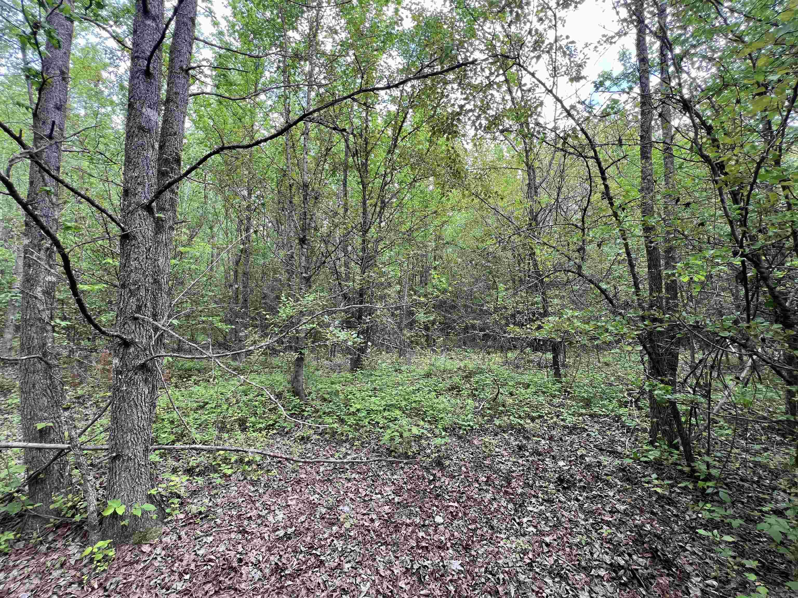 Higginson Outlots - Land