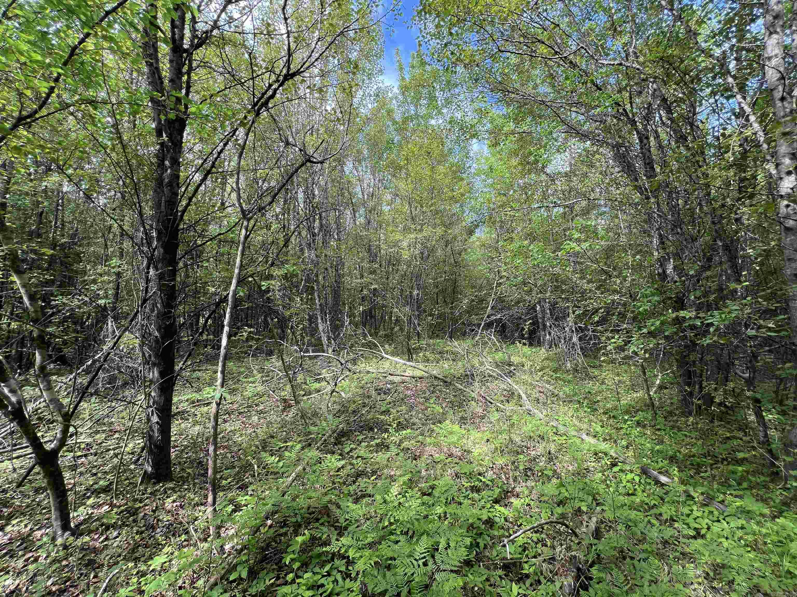 Higginson Outlots - Land