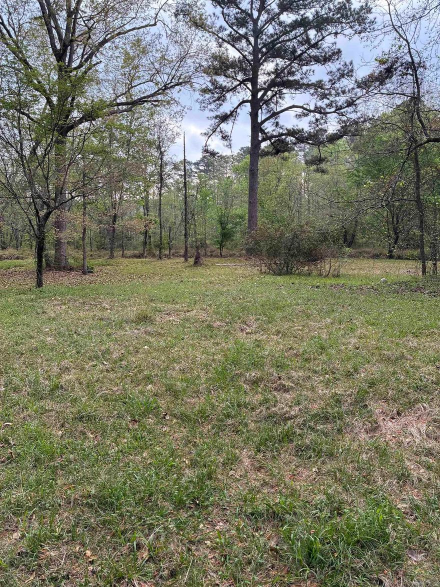 1986 Mobile home on 1 acre on water. private channel to the lake. property sold as-is.