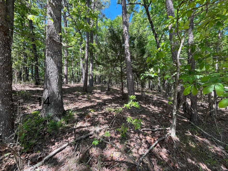 Here is your chance to build your dream home in the sought after Driftwood Point area. Lot 14 is gently sloped with underground utilities and deeded lake access. Located in the desirable Lakeside School District.