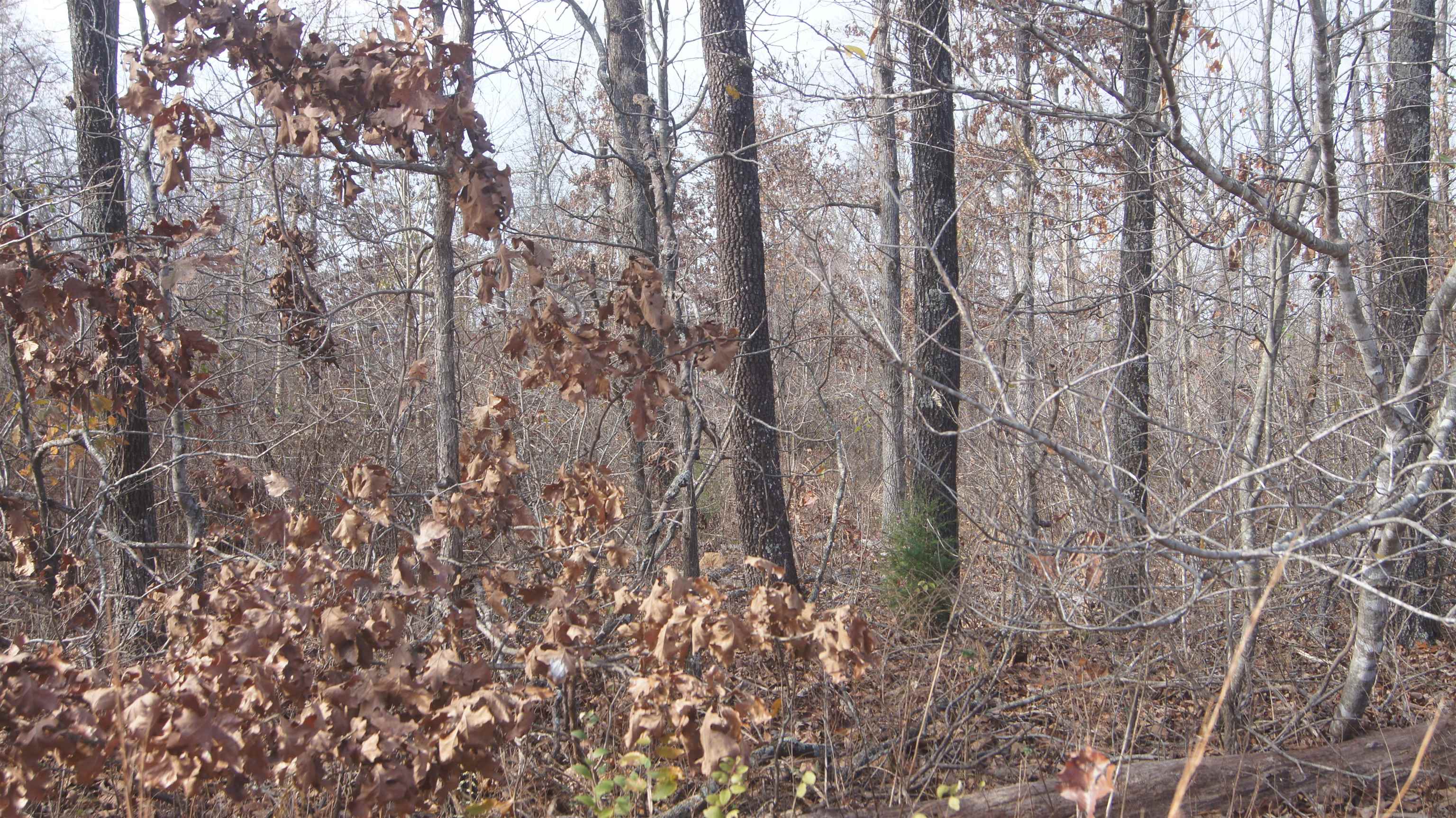 Oak Ridge - Land