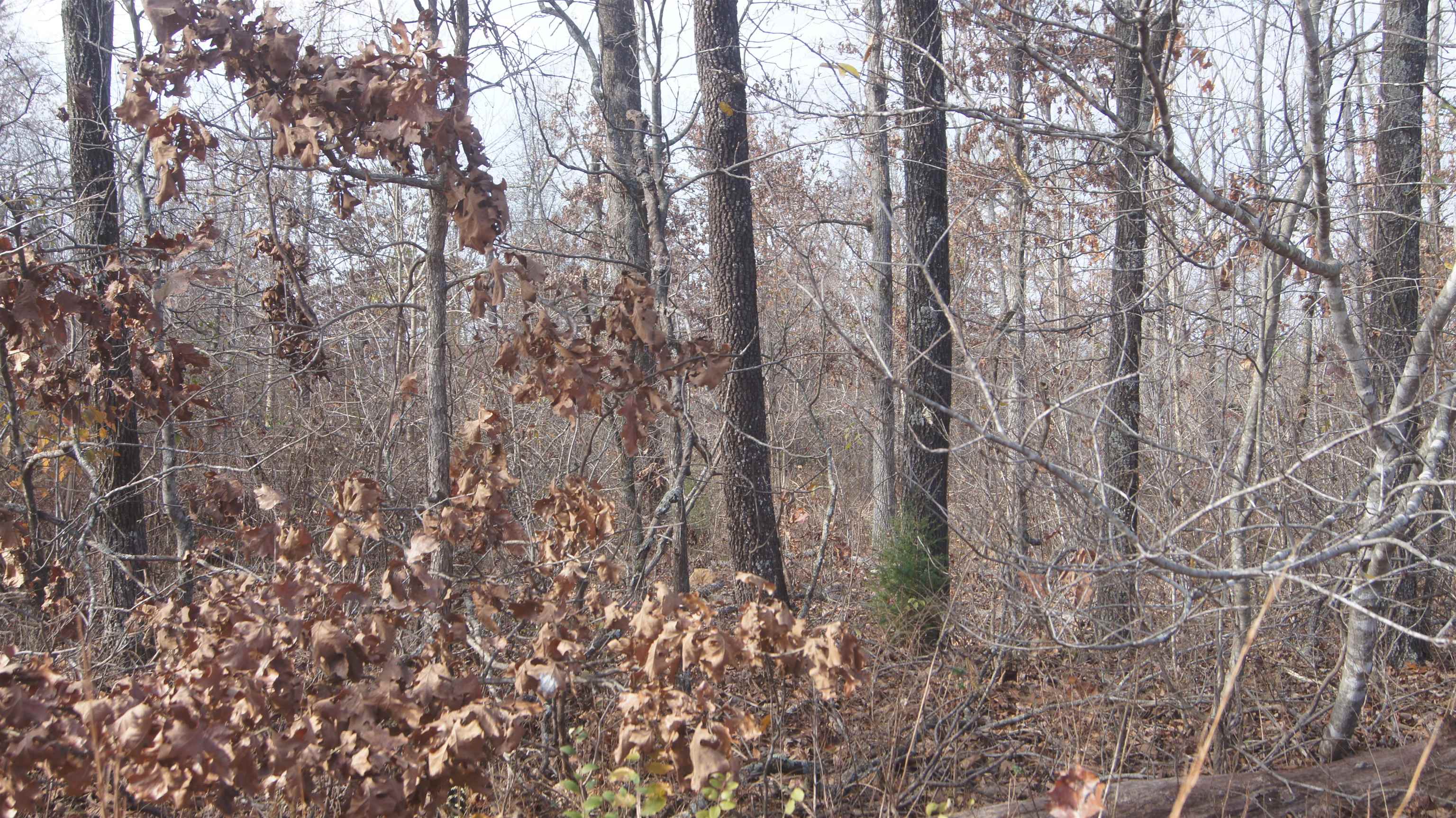 Oak Ridge - Land