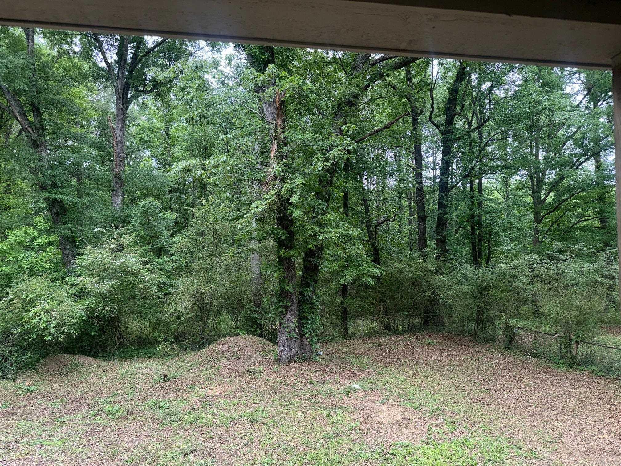 SPANNS PINE ACRES - Residential