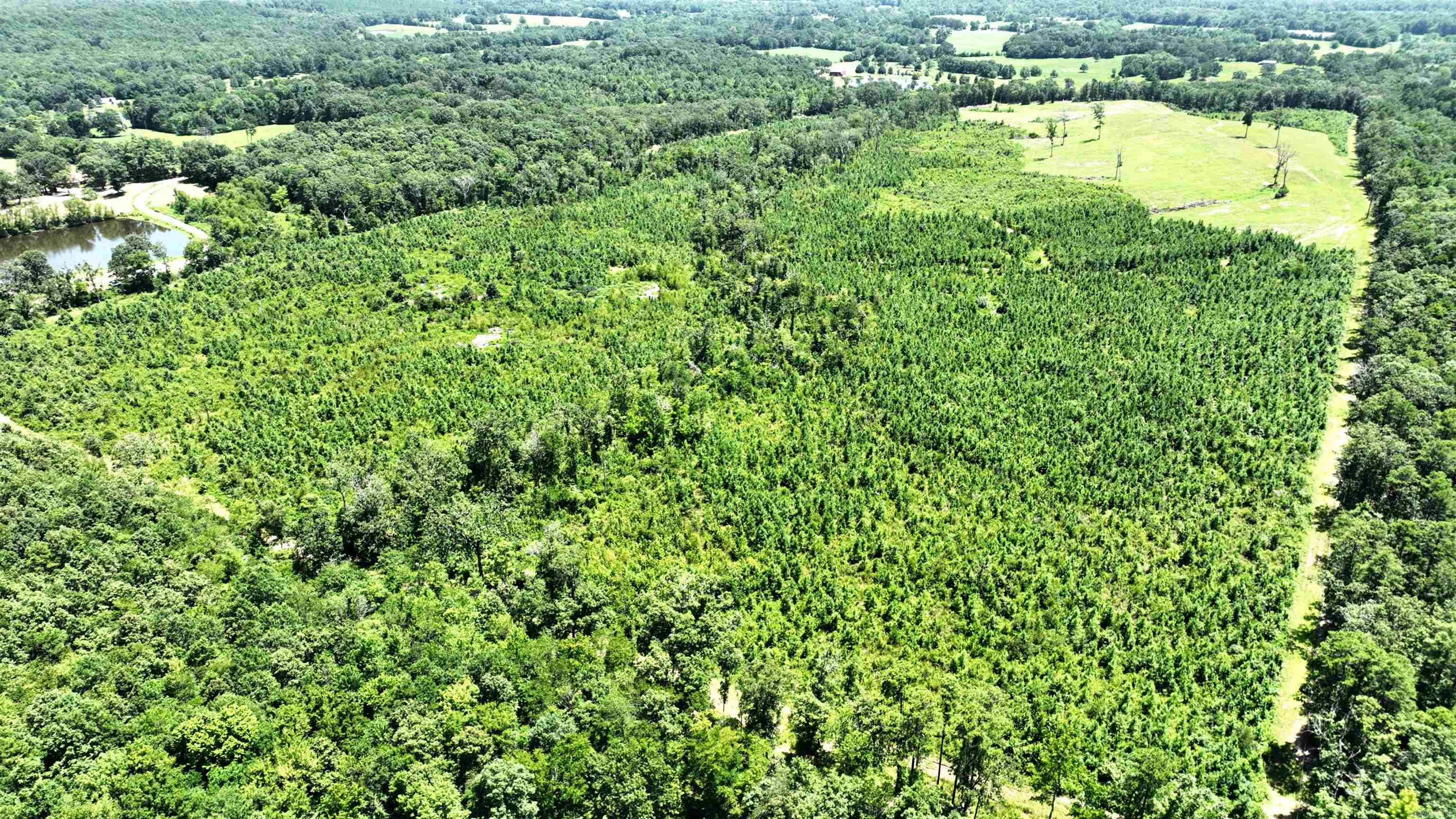 Yocanna - Land