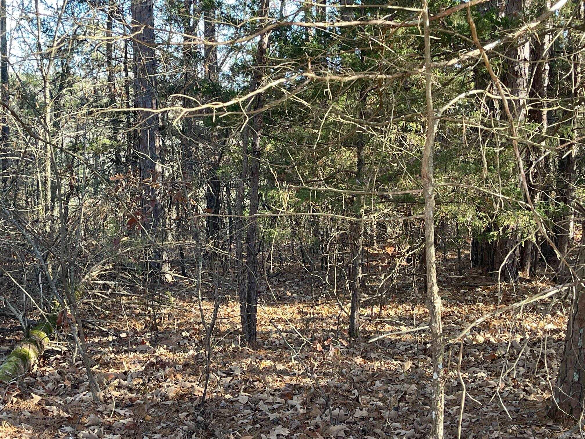 Mountain Ranch - Land