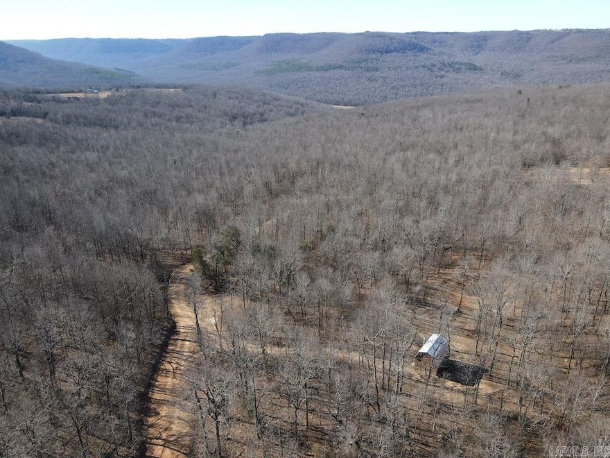 Located in the heart of the Ozarks near Snowball, Arkansas, this private 10-acre tract offers rare seclusion, natural beauty, and strong usability It is ideal for hunters, preppers, or anyone looking to unplug and enjoy a quieter pace of life surrounded by timber and mountains. The mostly wooded land features gentle rolling terrain, mature hardwoods, and scenic mountain views. A small cabin with a loft and covered porch overlooks the property and a large recently reconstructed pond. The cabin has classic Ozarks character with wood siding, a metal roof, and solid construction. Inside it is framed and partially wired, giving the next owner a head start while still allowing freedom to finish it to their vision. A wood-burning stove adds warmth and practicality, making it a comfortable hunting cabin or private retreat. The rebuilt pond has historically provided water for wildlife and livestock and is ready to refill with seasonal rains. Mature white oak, red oak, post oak, hickory, and maple provide excellent wildlife habitat and long-term value. Deer and other game are abundant in the area. An adjoining tract with another cabin is also available for expansion or a family setup.