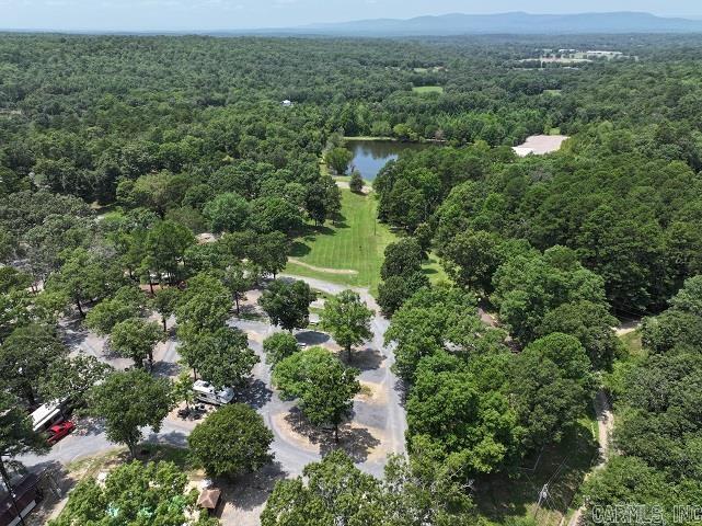 Metes & Bounds - Commercial Sale