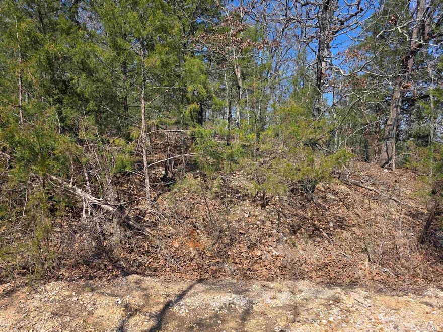 Nice lot with a front to back downward slope.  Lots of trees and lots of nature and wildlife. Come check this lot out, check out the view and see where you want to put your vacation home or your forever home. Retire here and fish 7 different lakes and golf 2 different 18-hole golf courses. Don't forget about the beautiful South Fork River that flows right through the Village. Shop in Old Hardy town and trout fish the Spring River. That's living the Cherokee Village lifestyle.