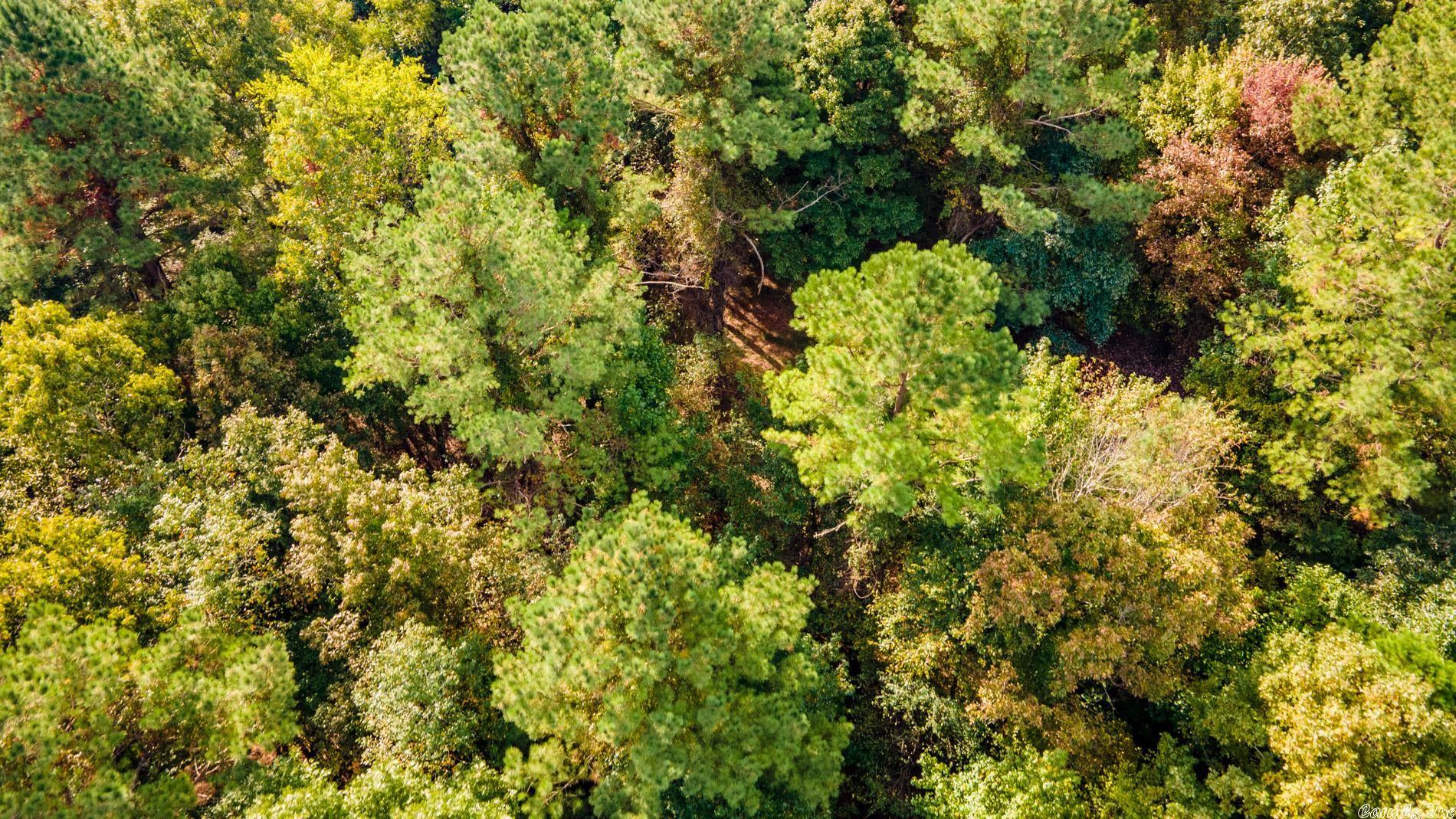 West Little Rock - Land