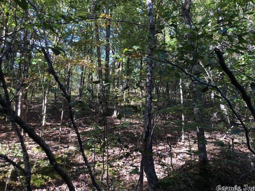 West Little Rock - Land