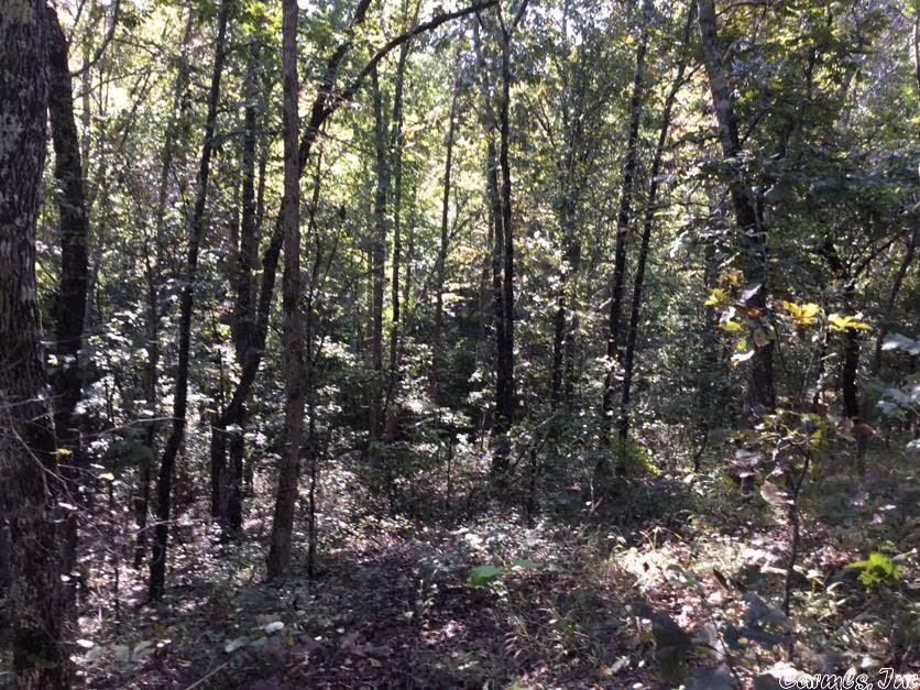 West Little Rock - Land