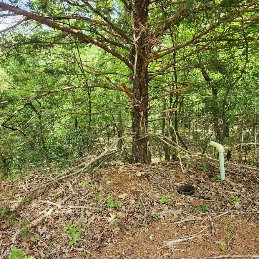 Wonderful and wooded lot in the heart of Cherokee Village. Secluded and away from it all. Buy this lot and pick your spot to build your dream home or just a getaway cabin. With ownership of this lot you have access to all the amenities of Cherokee Village such as the lakes and golf courses and Thunderbird Center and swimming pool, mini golf, parks, hiking trails and don't forget about the beautiful Southfork River.