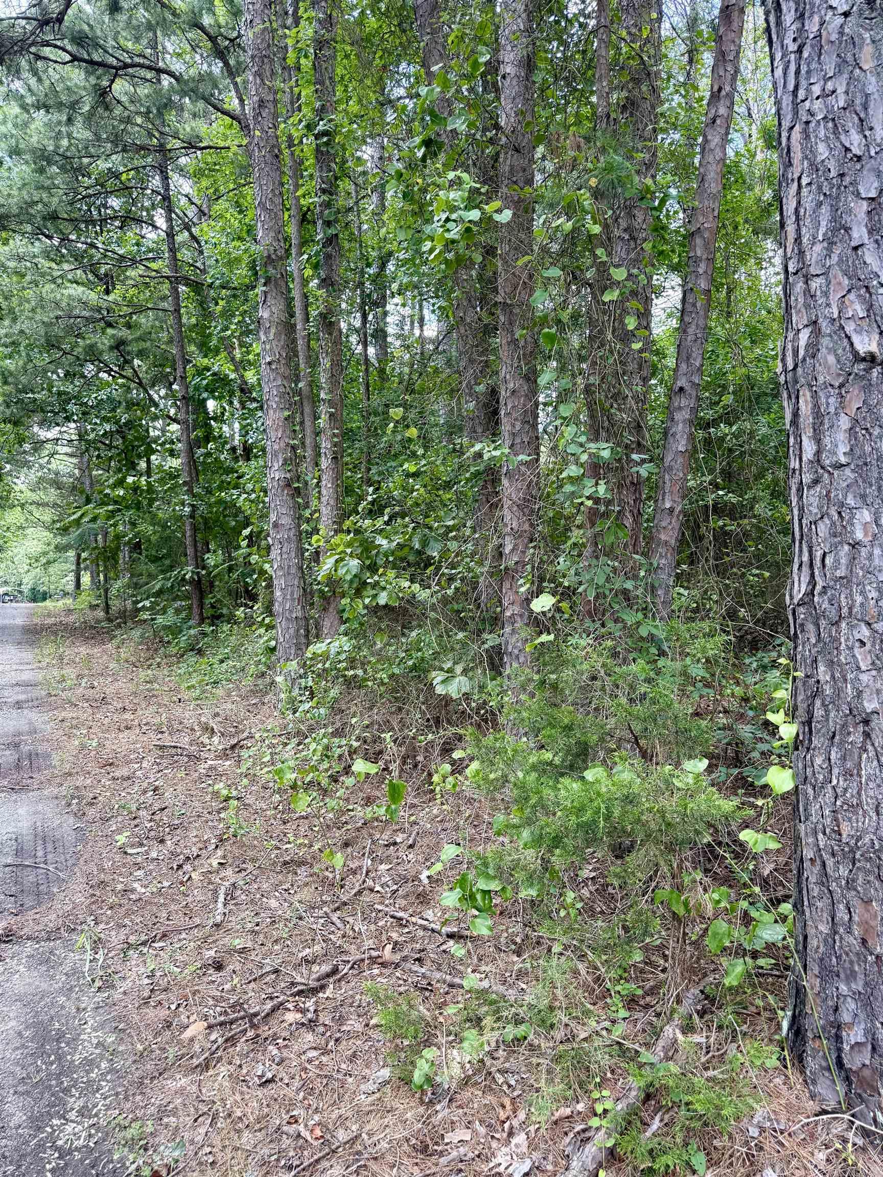 South Shore Park - Land