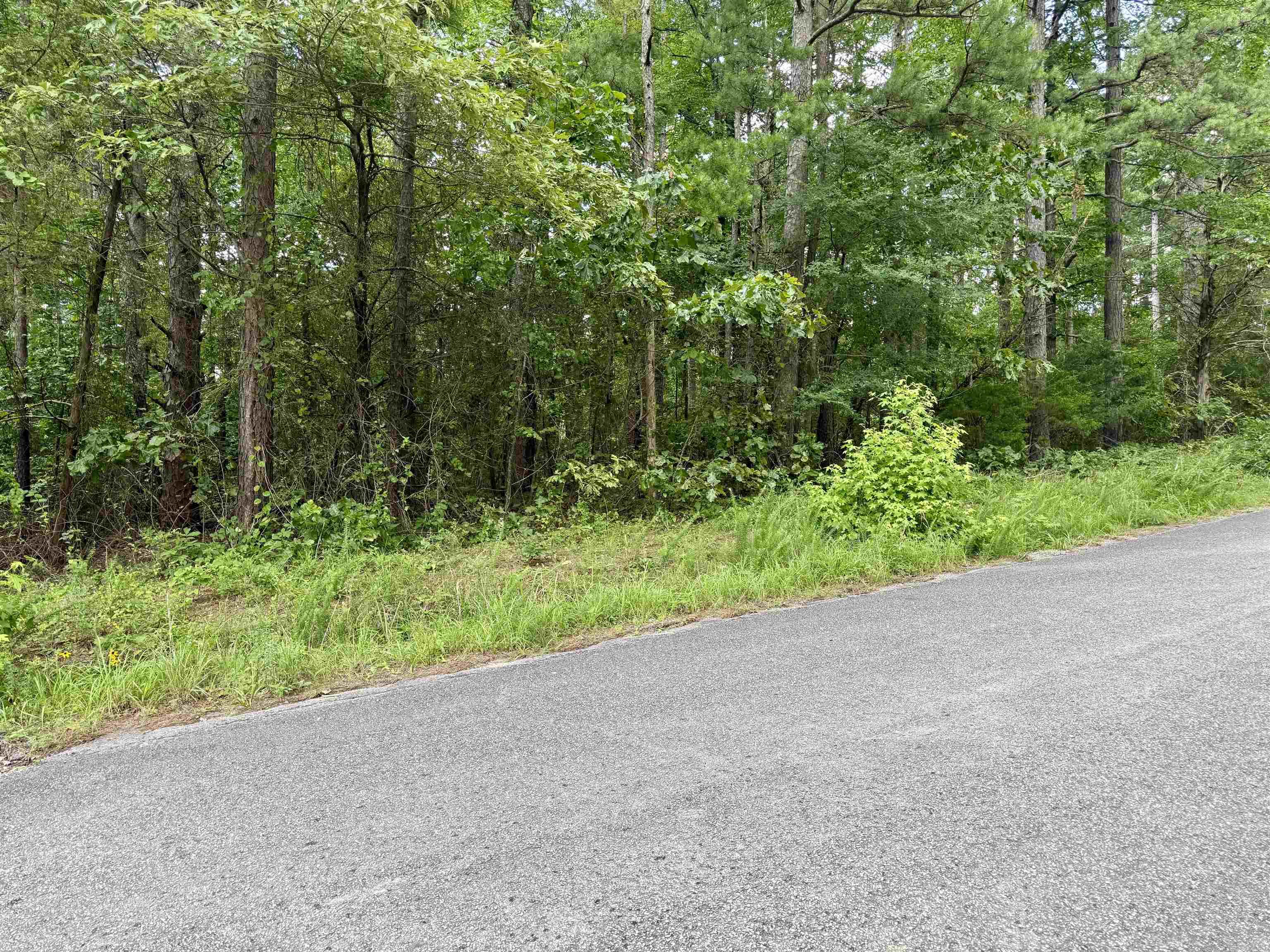 This 1/4 acre lot is located in South Shore Park which offers a boat launch area for residents. Wooded, corner lot with utilities available at the road.