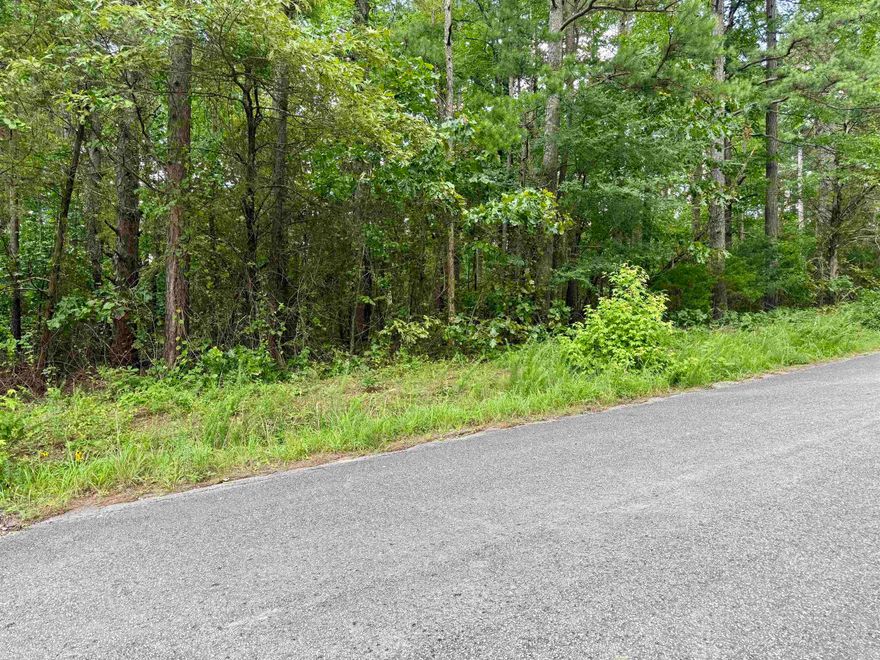 This 1/4 acre lot is located in South Shore Park which offers a boat launch area for residents. Wooded, corner lot with utilities available at the road.