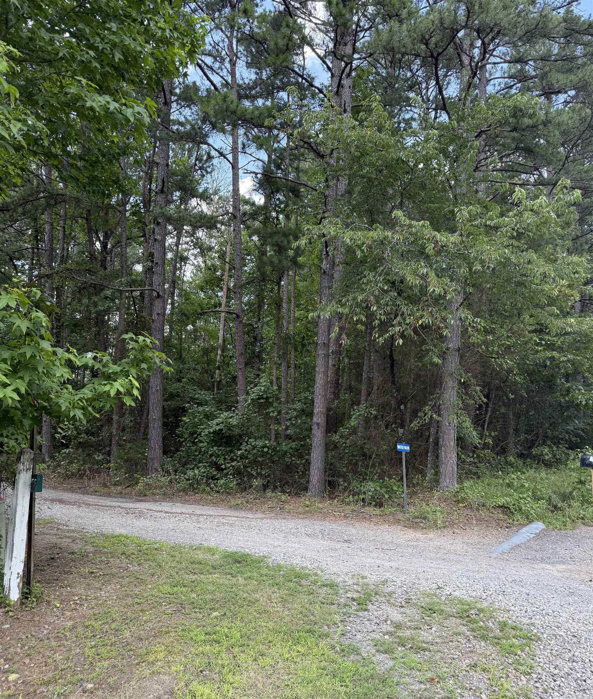 South Shore Park - Land