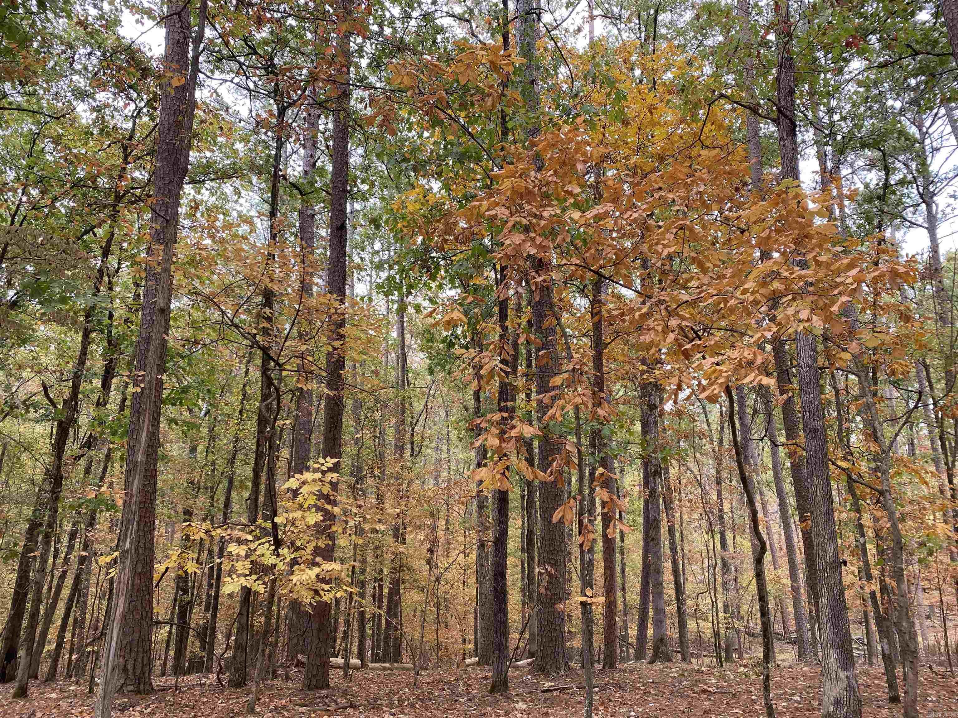 Hickory Nut Mountain Estates - Residential