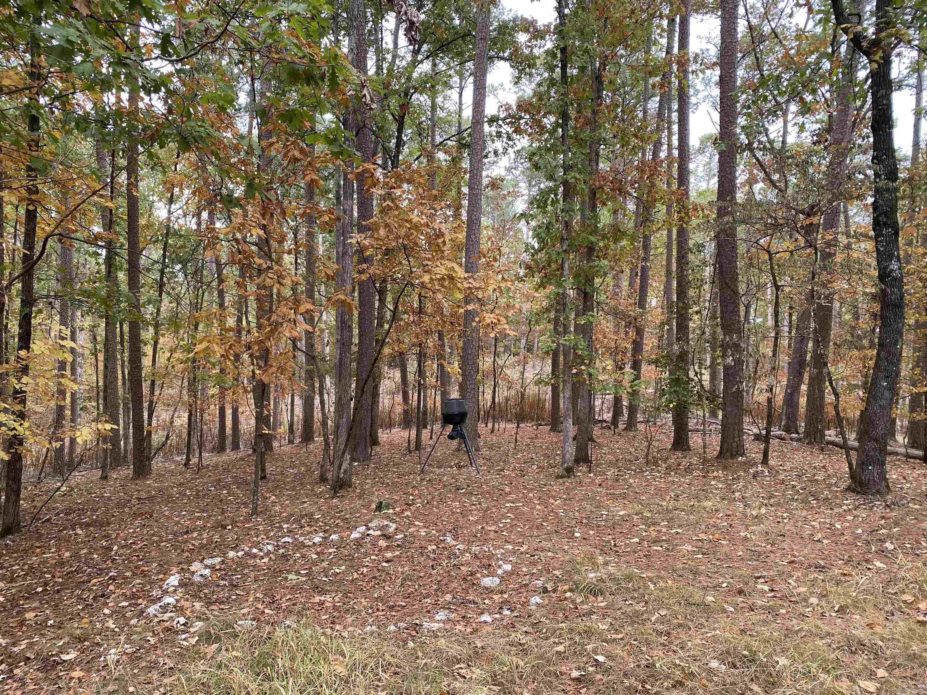 Hickory Nut Mountain Estates - Residential