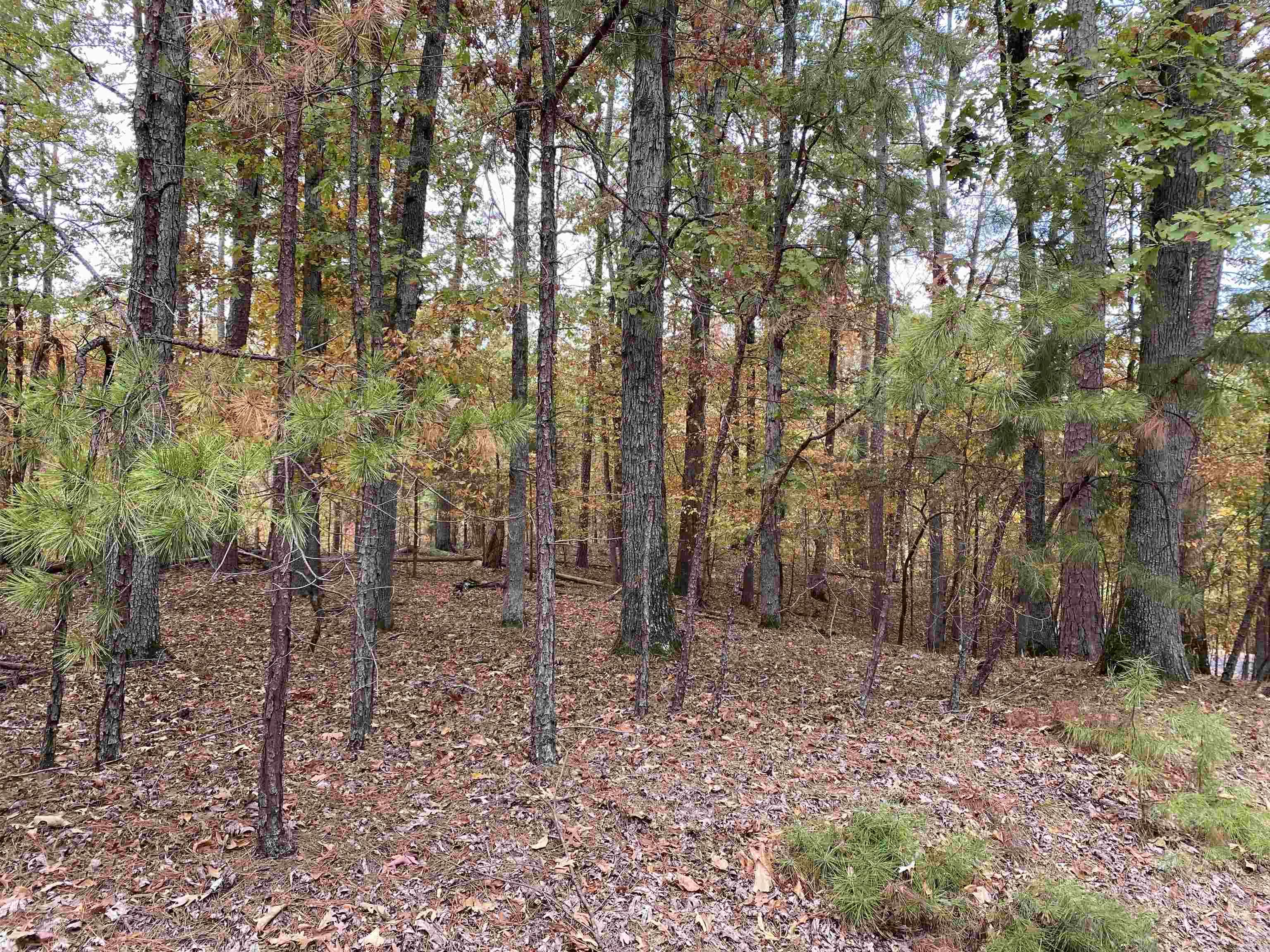 Hickory Nut Mountain Estates - Residential