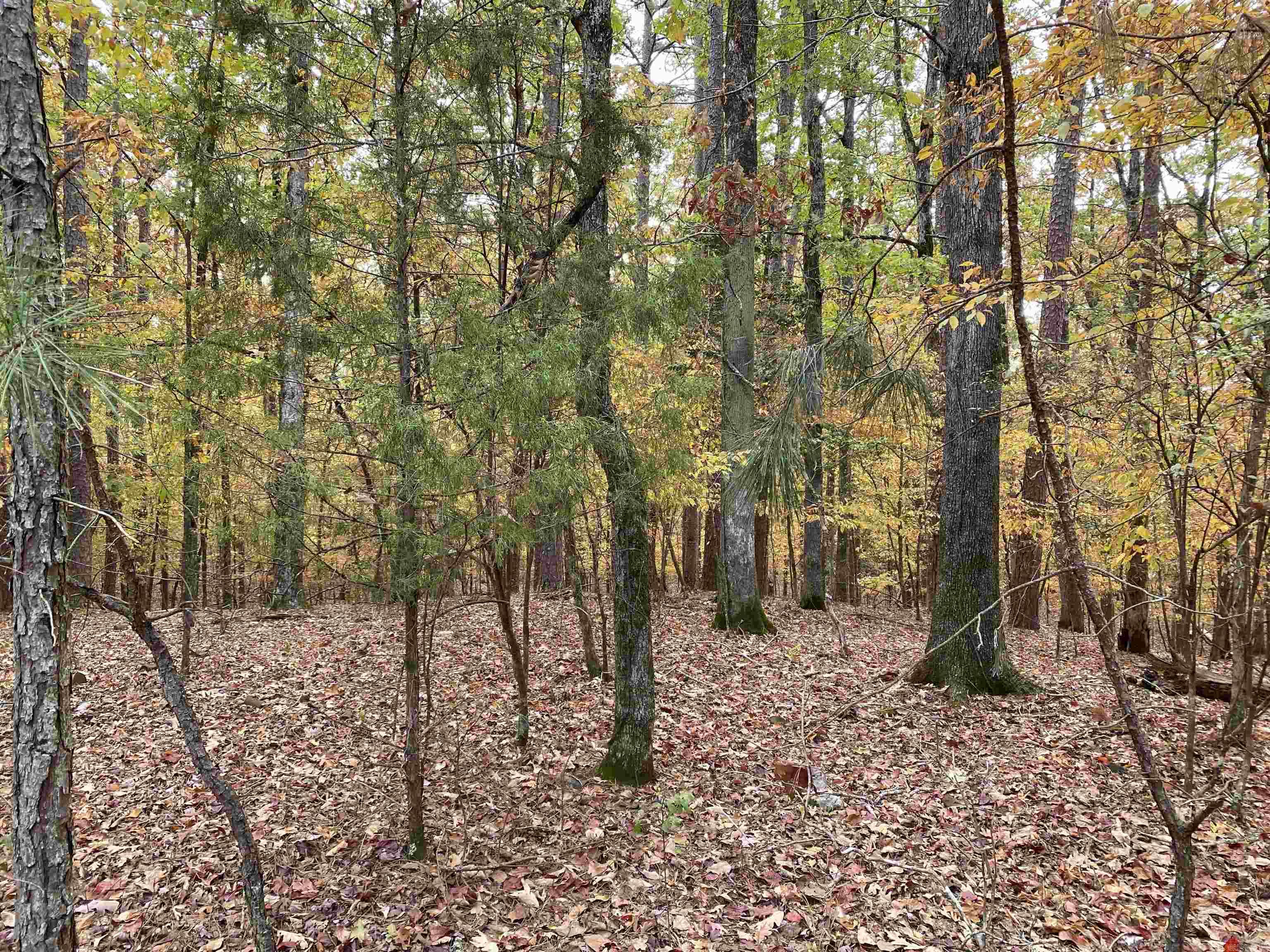 Hickory Nut Mountain Estates - Residential