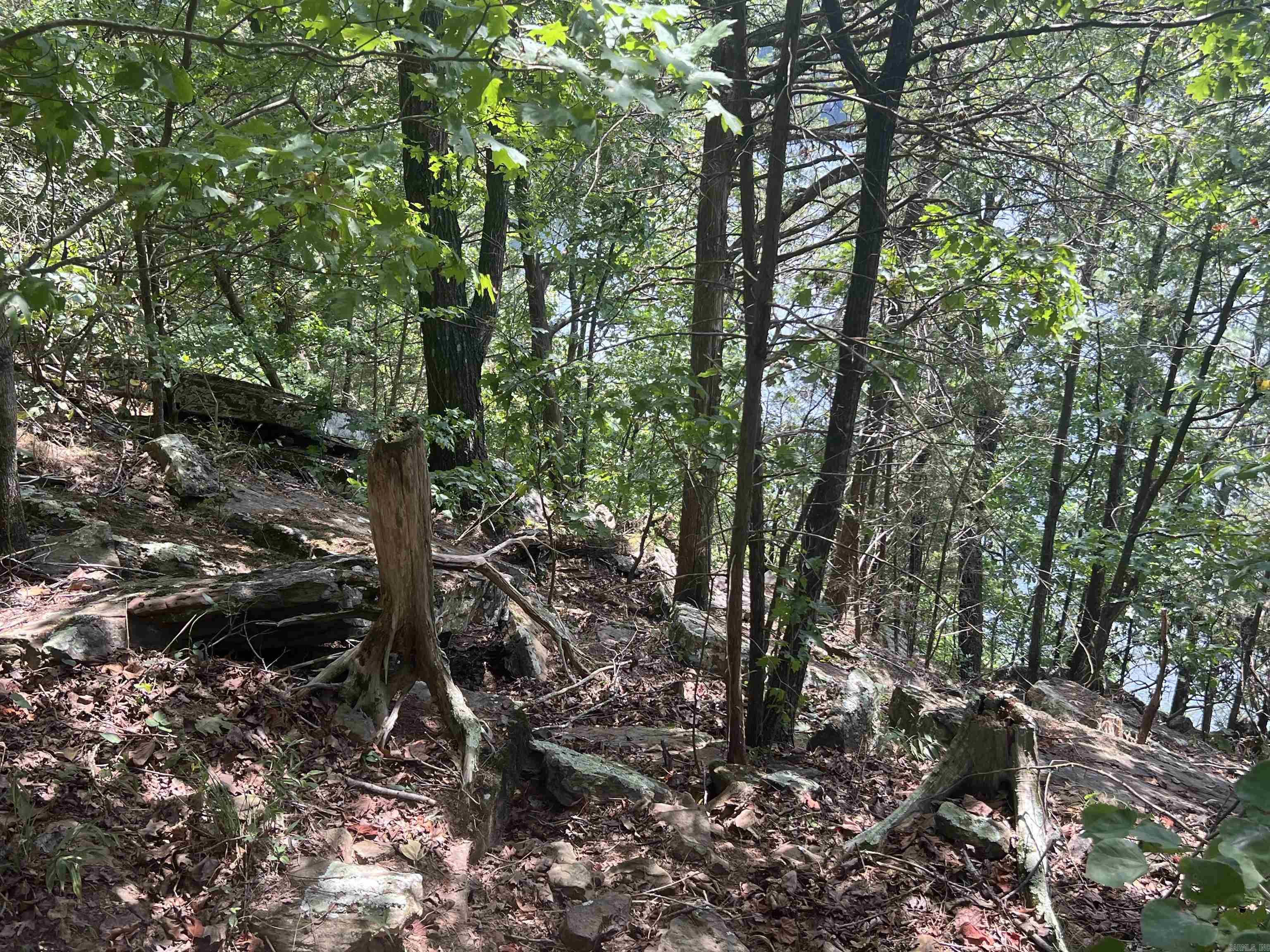 Metes & Bounds - Land