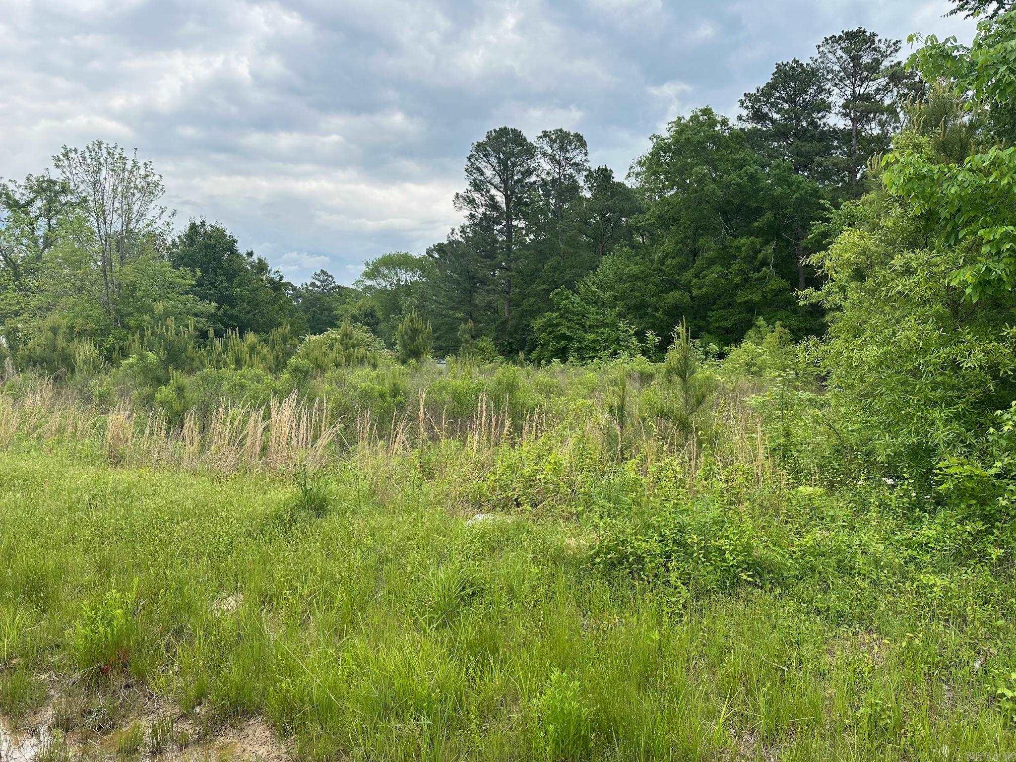 Looking for a piece of land to build on? Here is 2.27 acres that is available that has highway frontage. Just out of town, but not too far out so it would be perfect. It does have a small amount of timber on the back of the property.