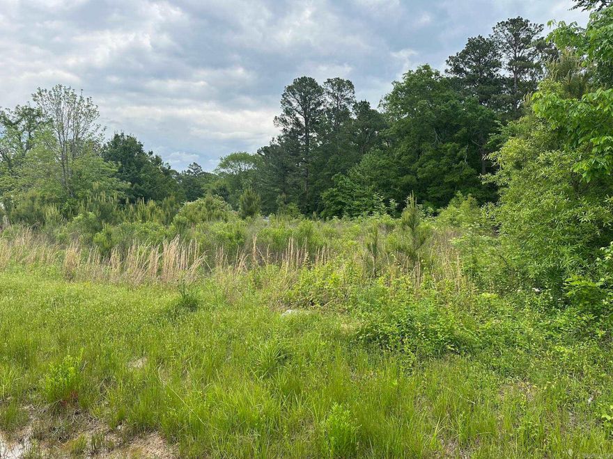Looking for a piece of land to build on?  Here is 2.27 acres that is available that has highway frontage.  Just out of town, but not too far out so it would be perfect.  It does have a small amount of timber on the back of the property.