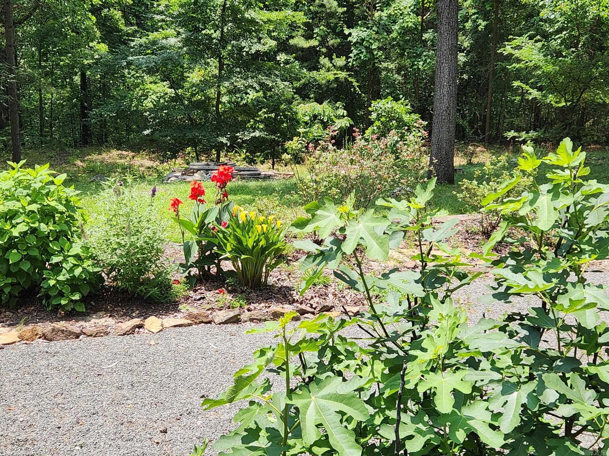 CHELSEA GLADE - Residential