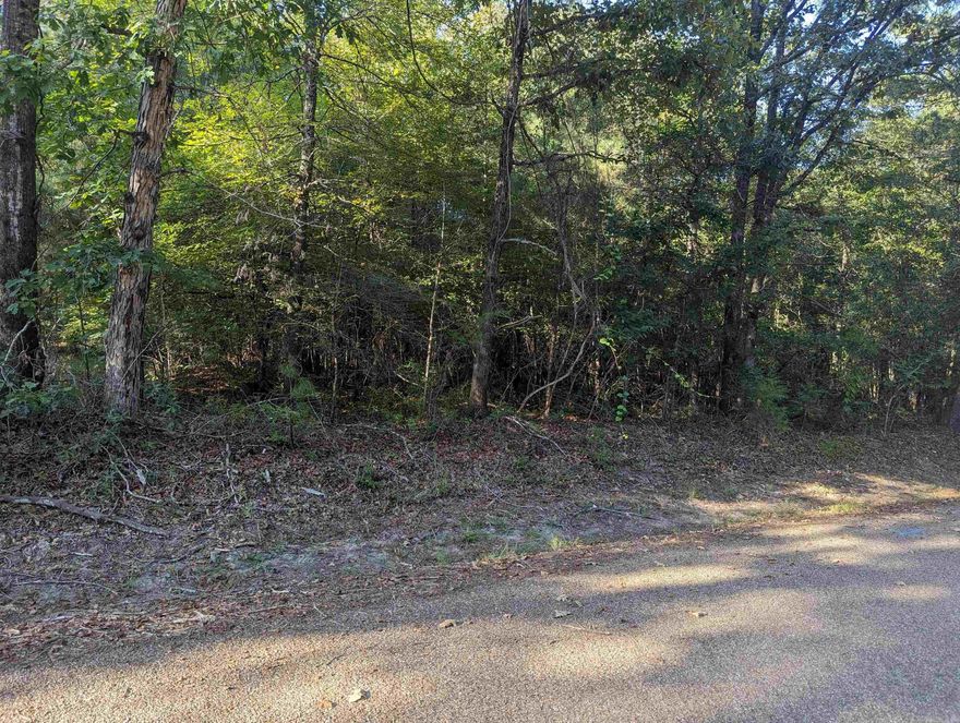 9.54 acres off Hwy 376 S, Located on Ouachita 515 in Louann.