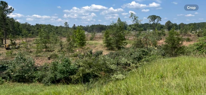 18.53 Prime Acres of Commercial and North Junction Fordyce. This property offers many opportunities.  Approximately 60 miles from Little Rock...20 miles from Sheridan...30 miles from Warren & Camden. 45 miles from El Dorado