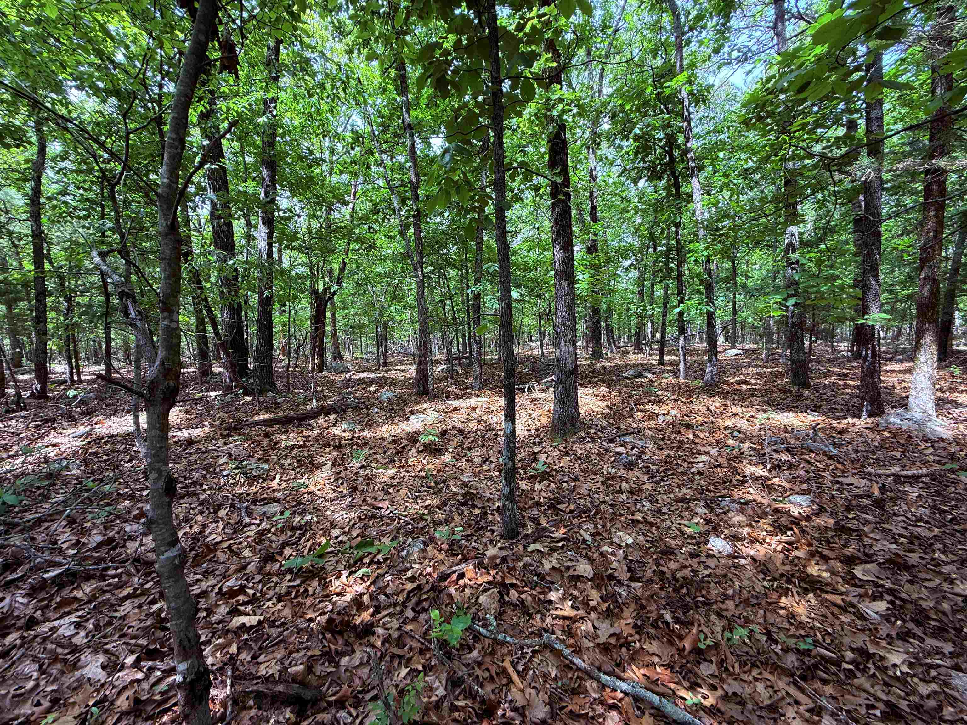 Metes & Bounds - Land