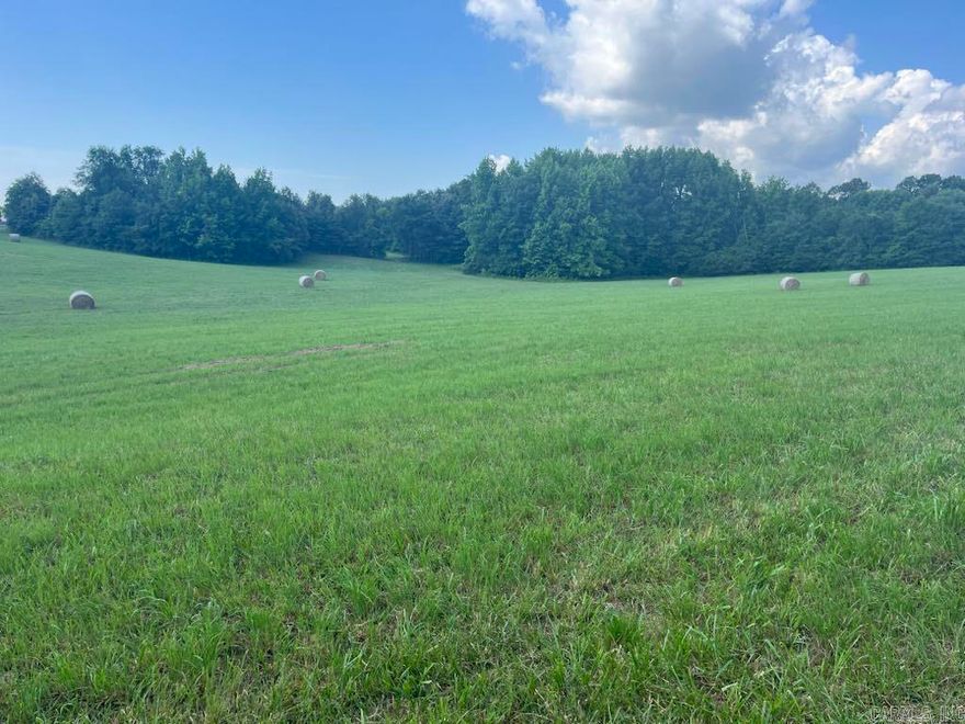 Absolutely stunning 19.35 acres just off of Heritage Park Road in Piggott, AR! This parcel offers 16+/- acres of pasture and 2+/- acres of timber. The beautiful rolling hills are perfect to build you dream home!!